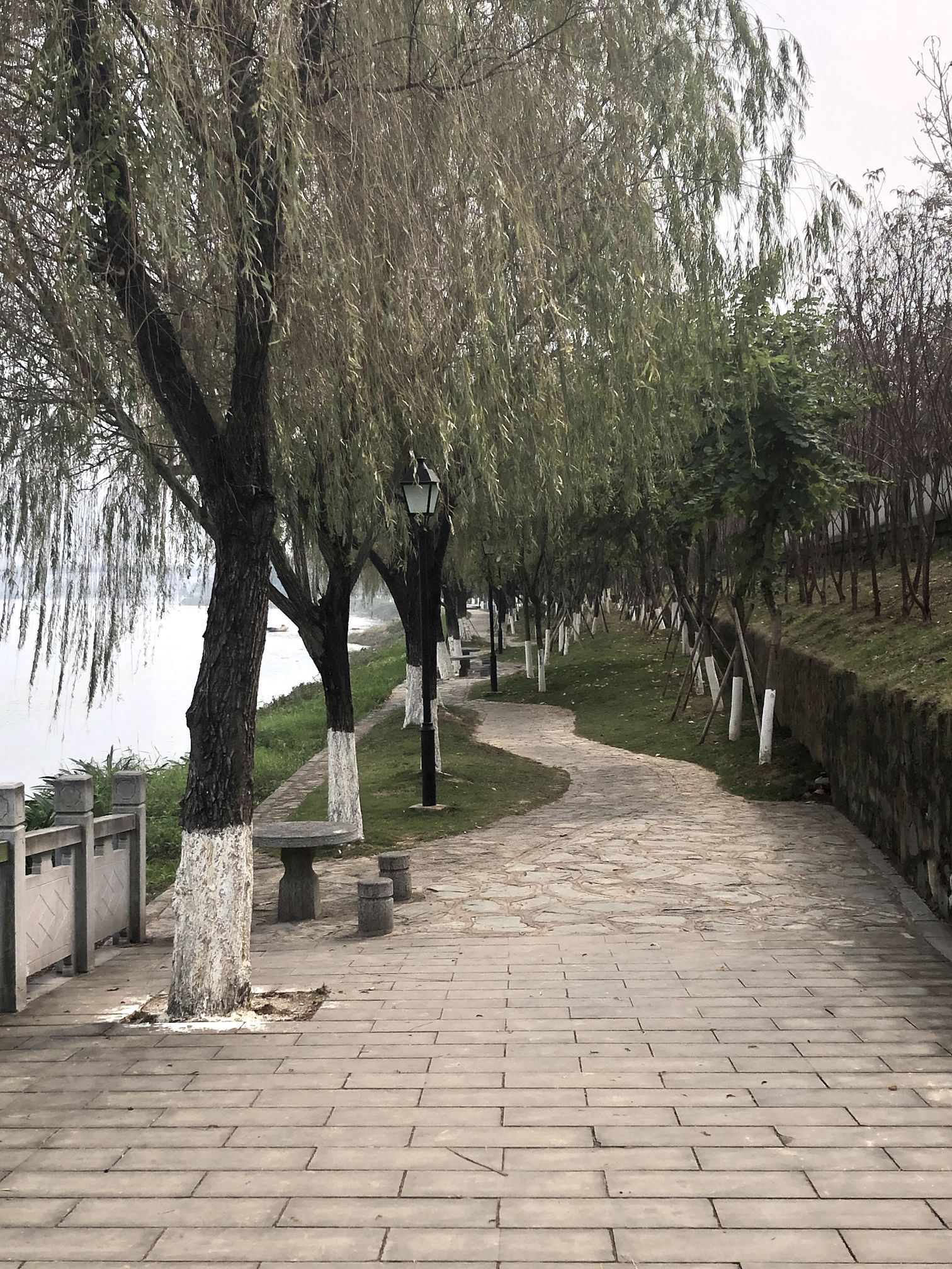 平南古渡旅行图片
