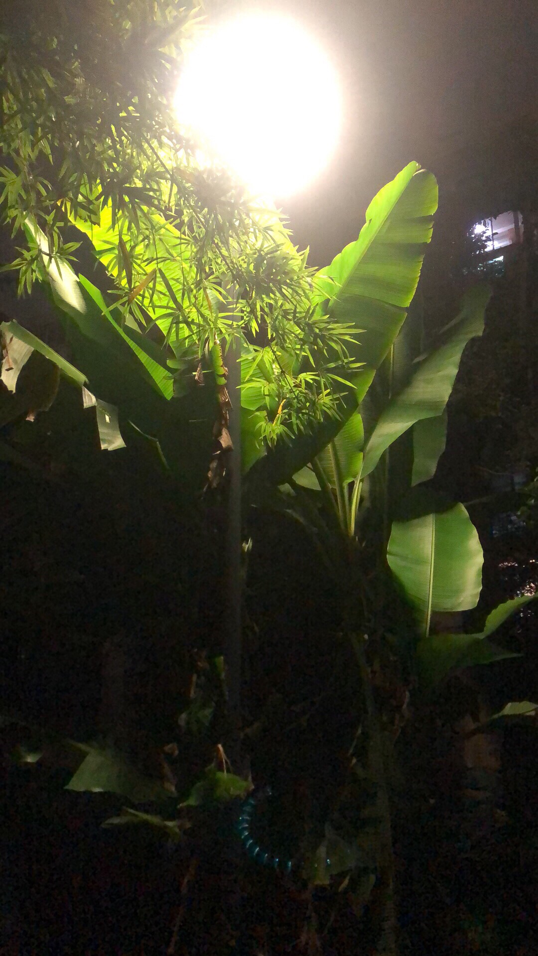北塘河公园