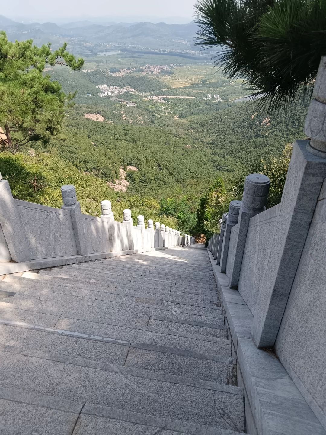 新泰新甫山莲花园