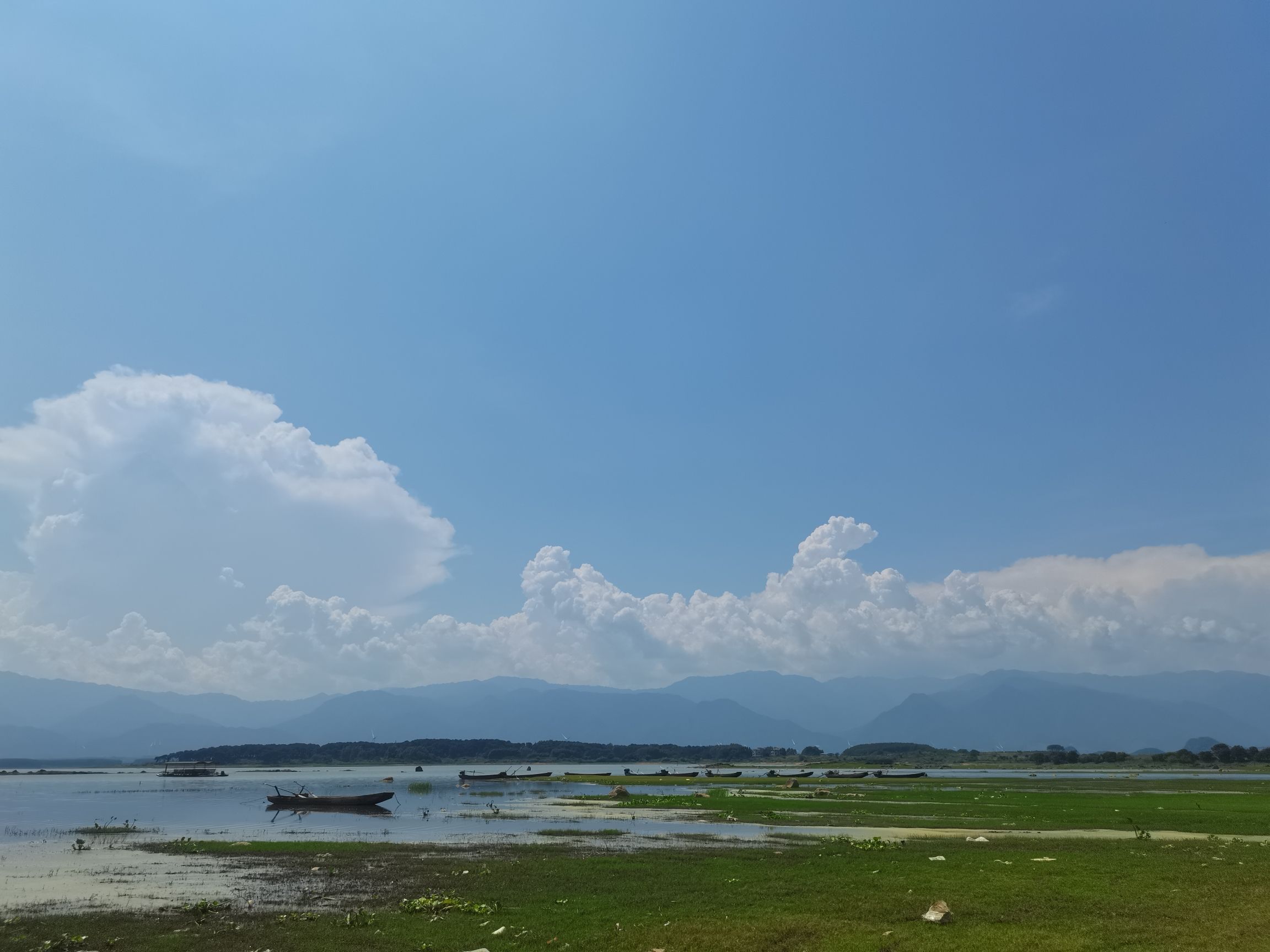 沙洲大草原