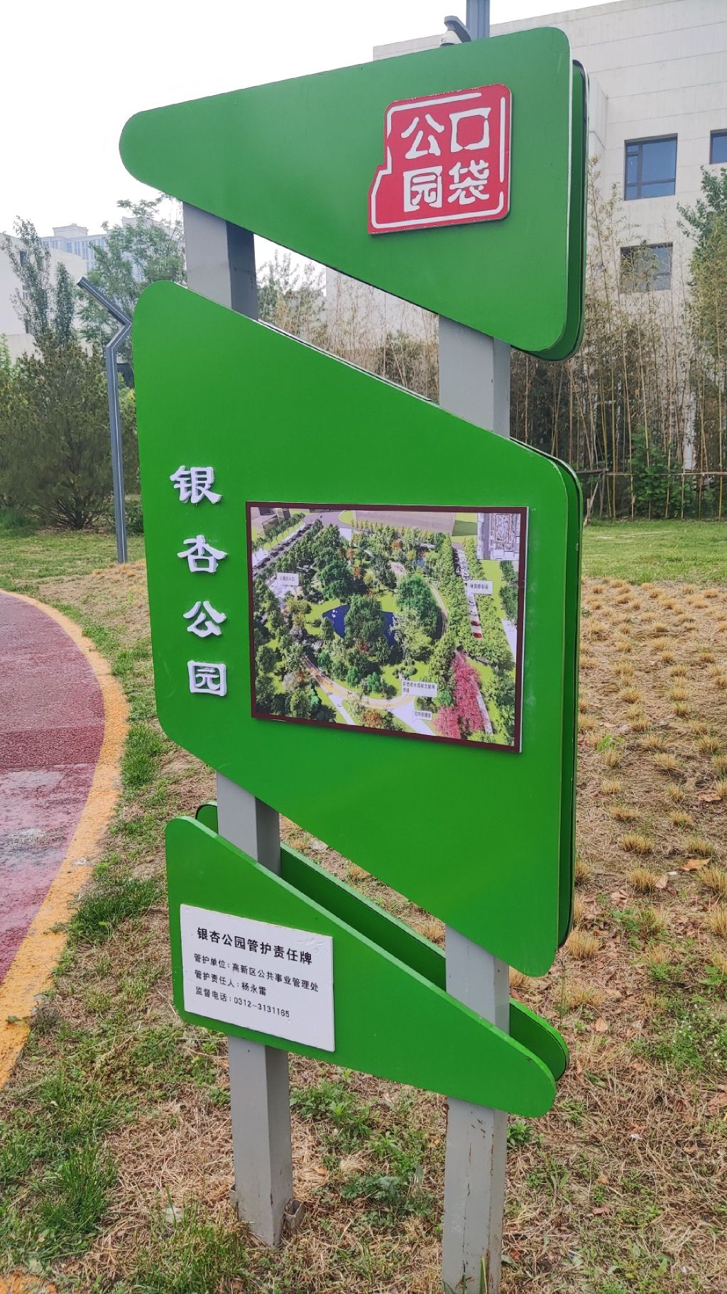 银杏公园旅行图片