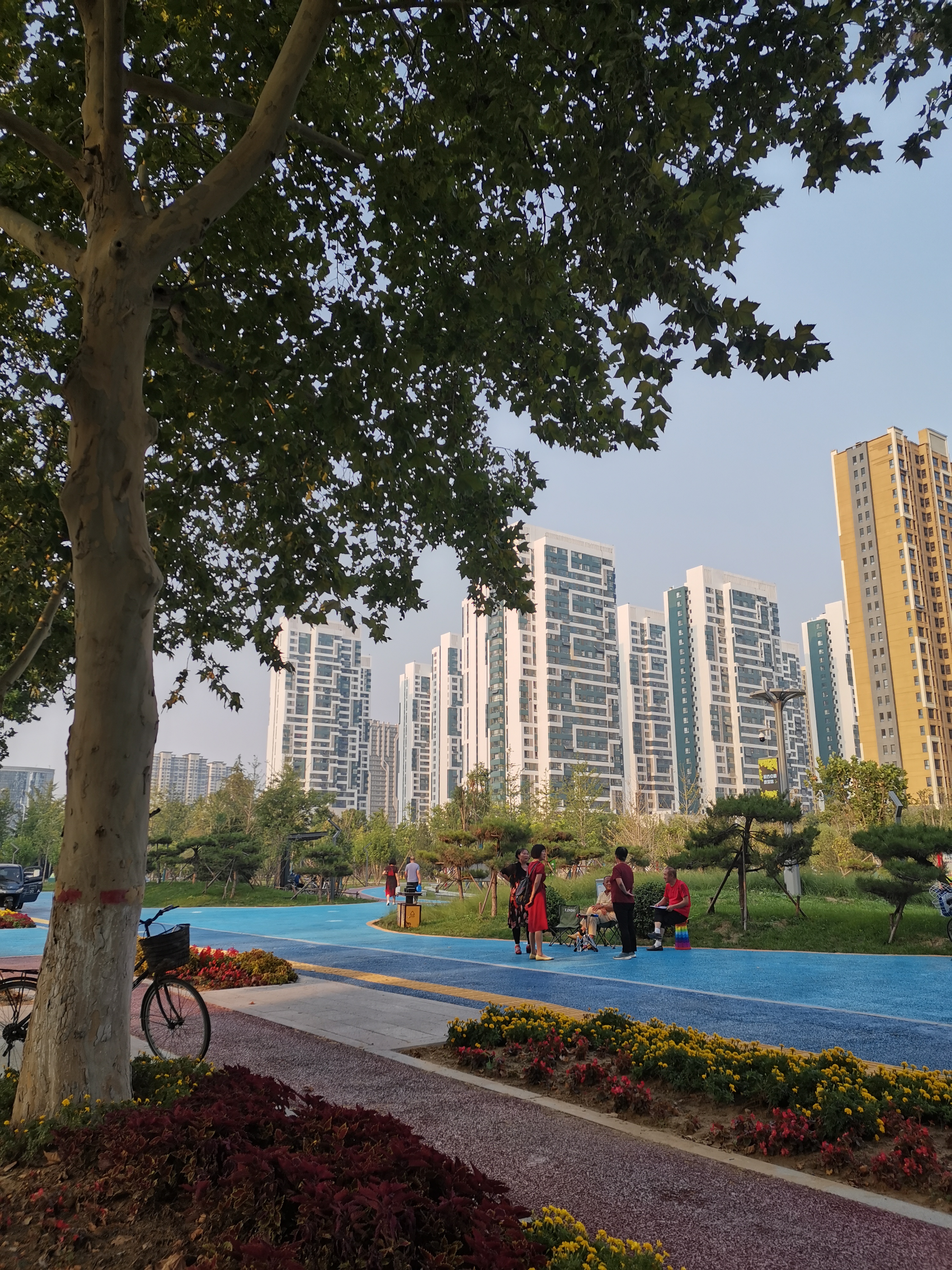 银杏公园旅行图片