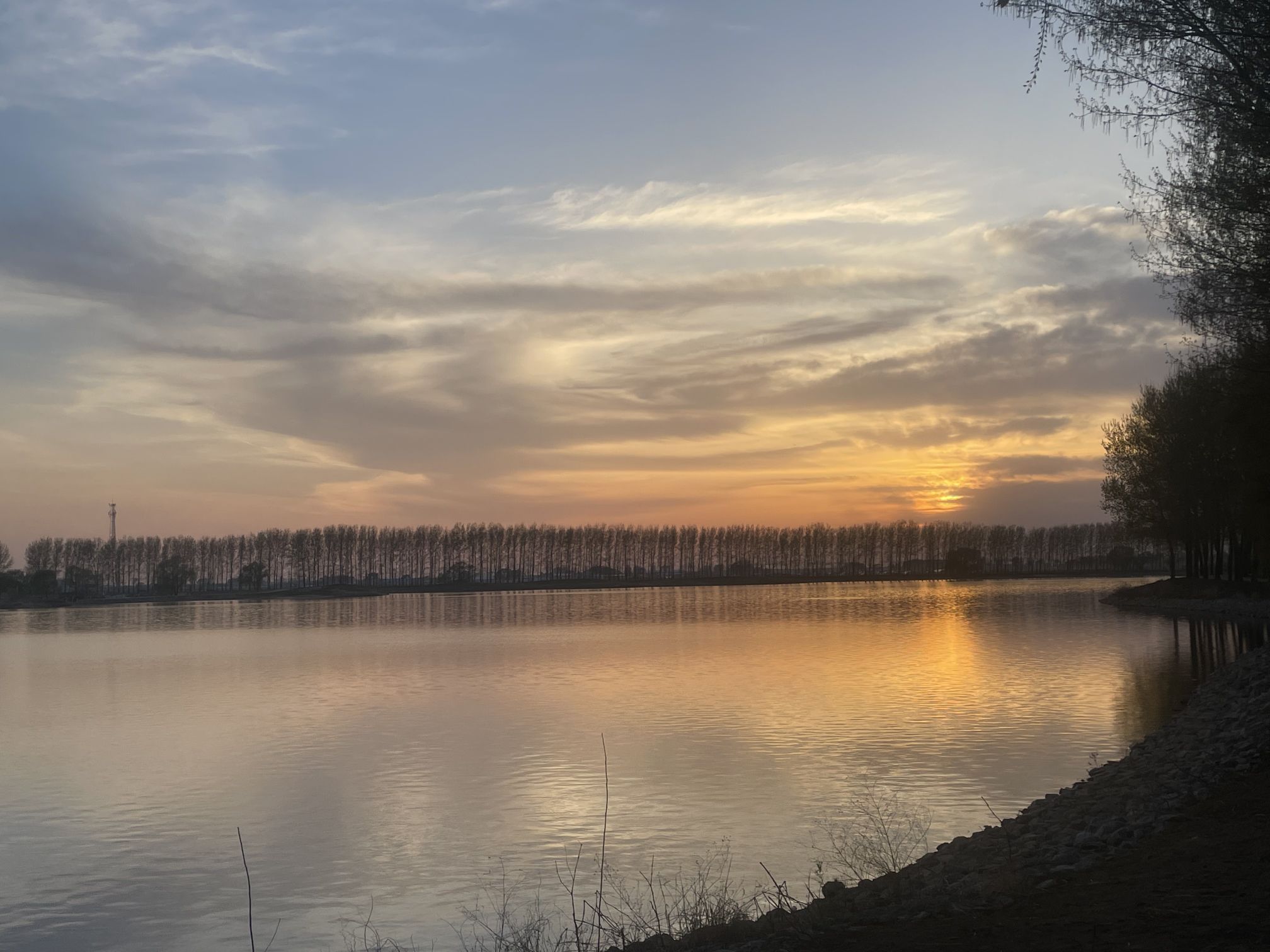 西湖湿地公园