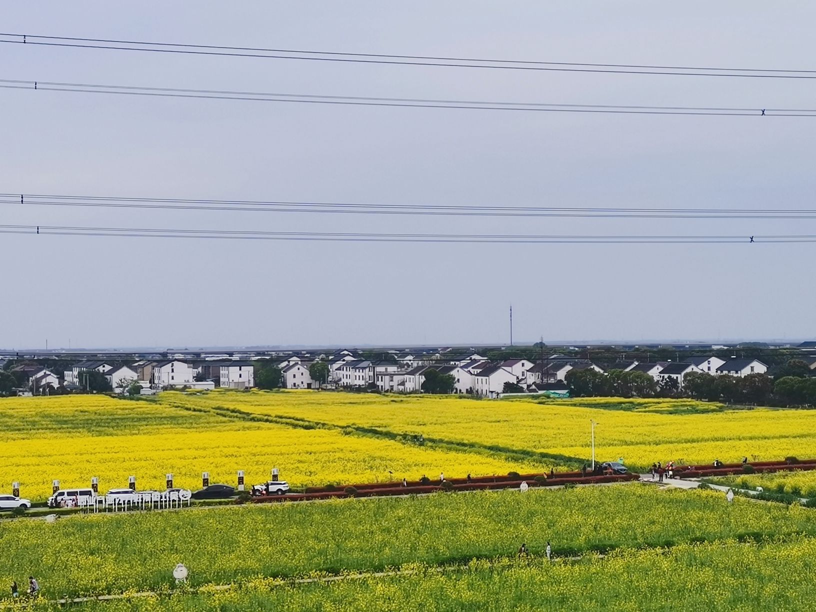 北联村油菜花瞭望台