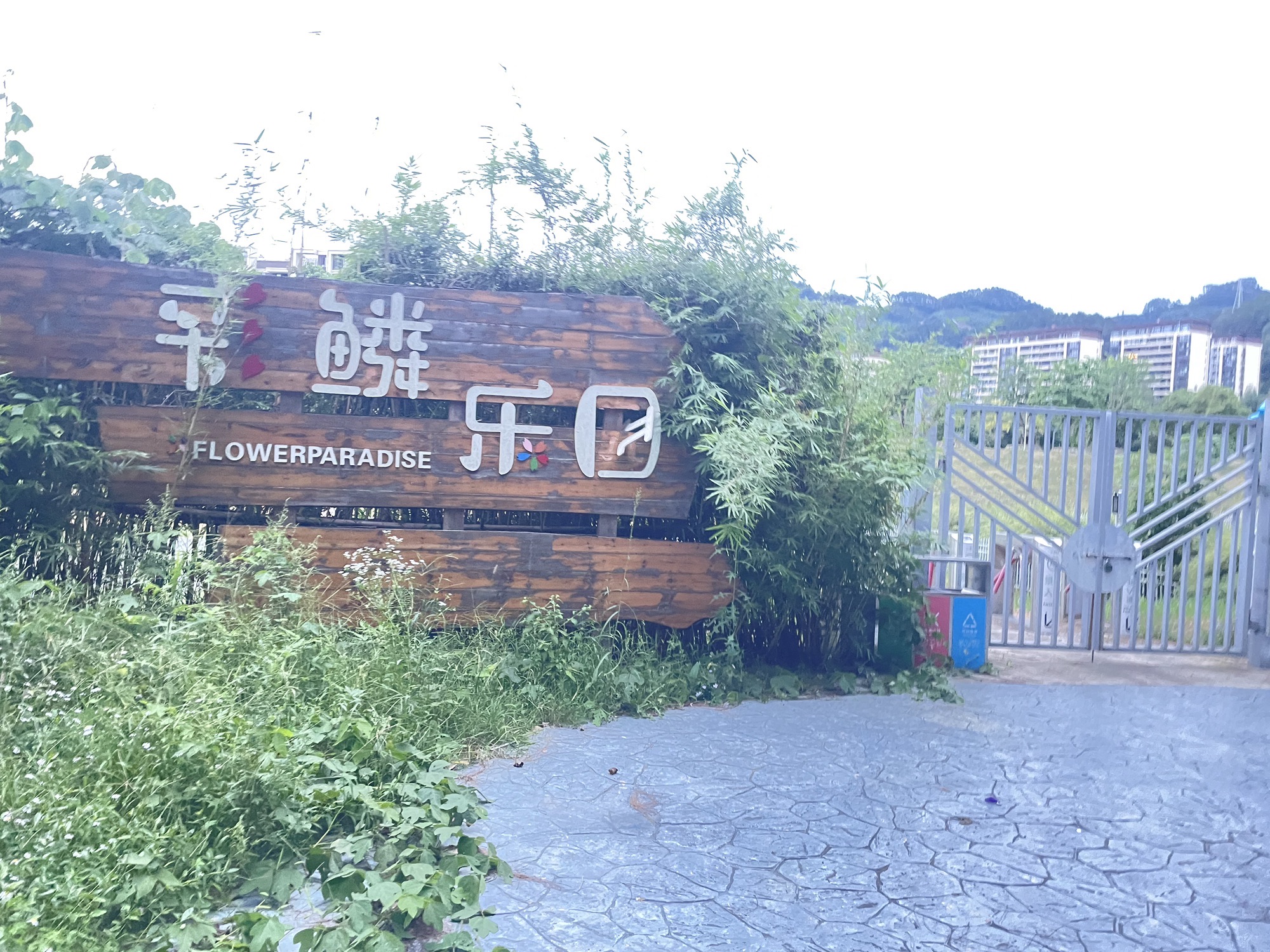 鲸鱼湾体育公园
