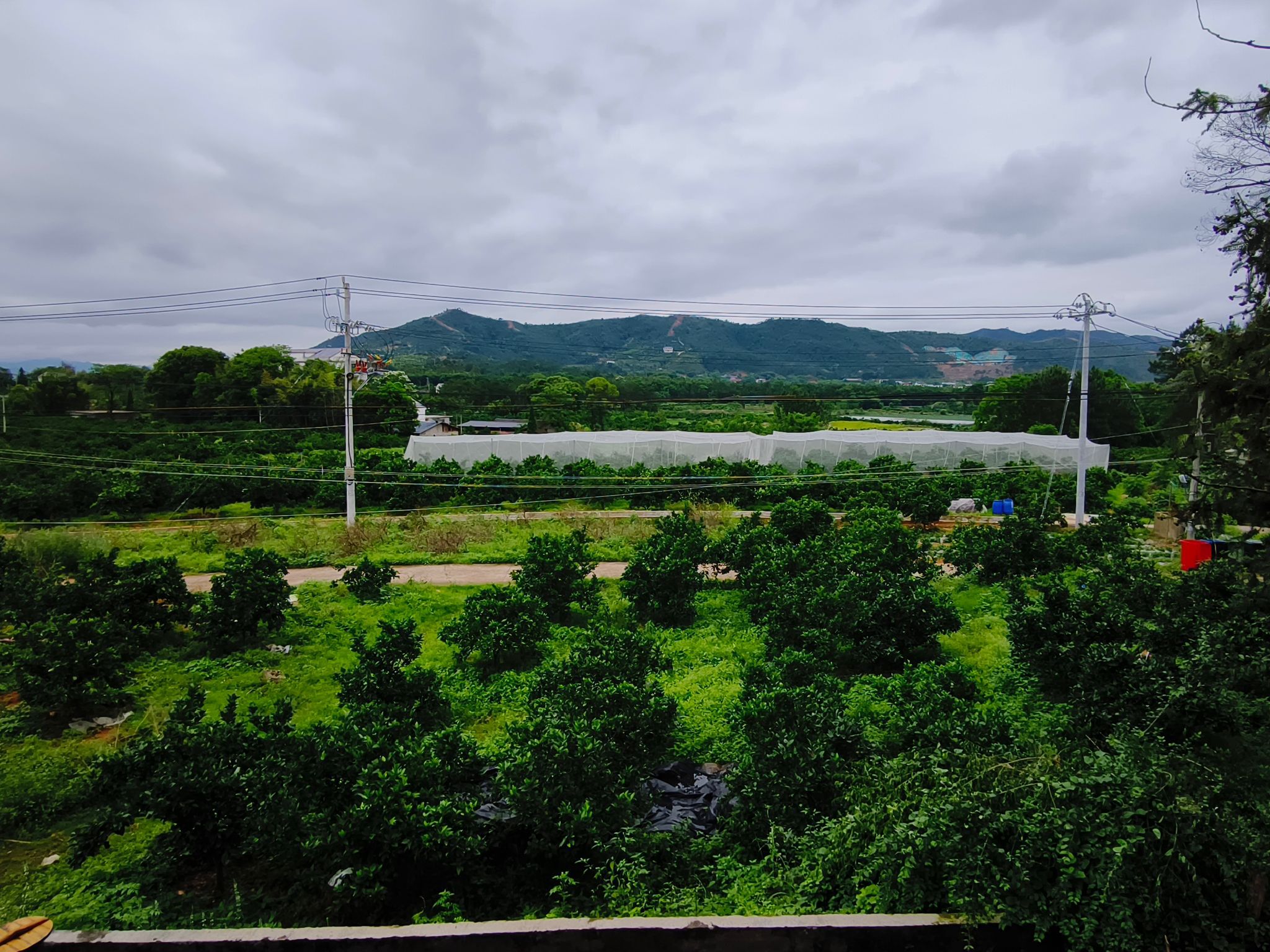 赤地岗新吕屋吕氏祠堂