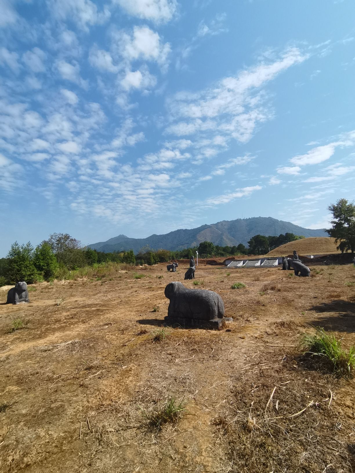 靖江悼僖王陵旅行图片