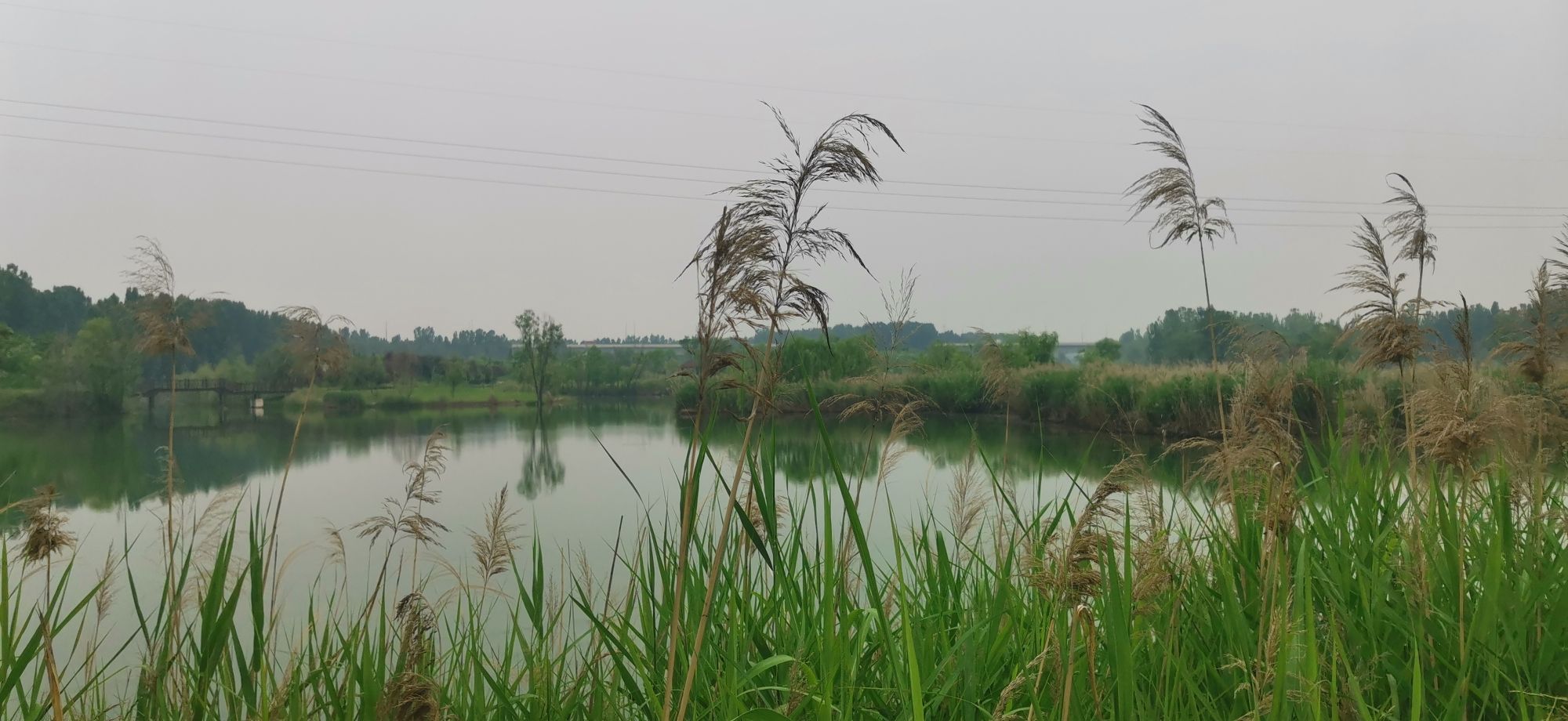 吉利黄河湿地国家级自然保护区旅行图片