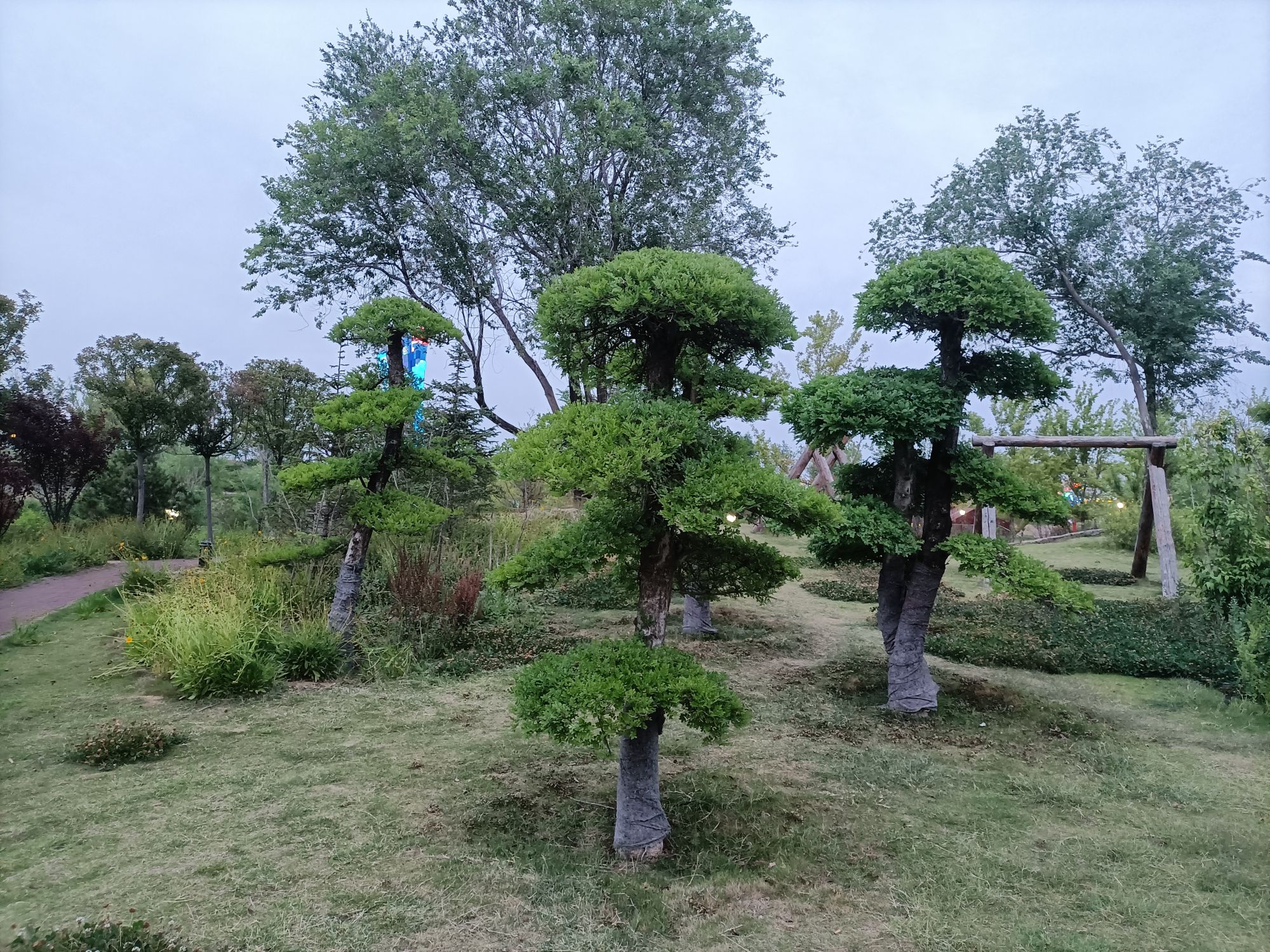 罗庄区银凤湖公园