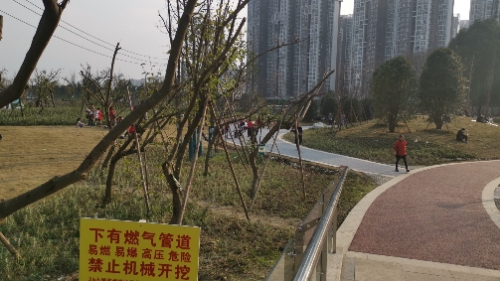 犀浦梓潼公园