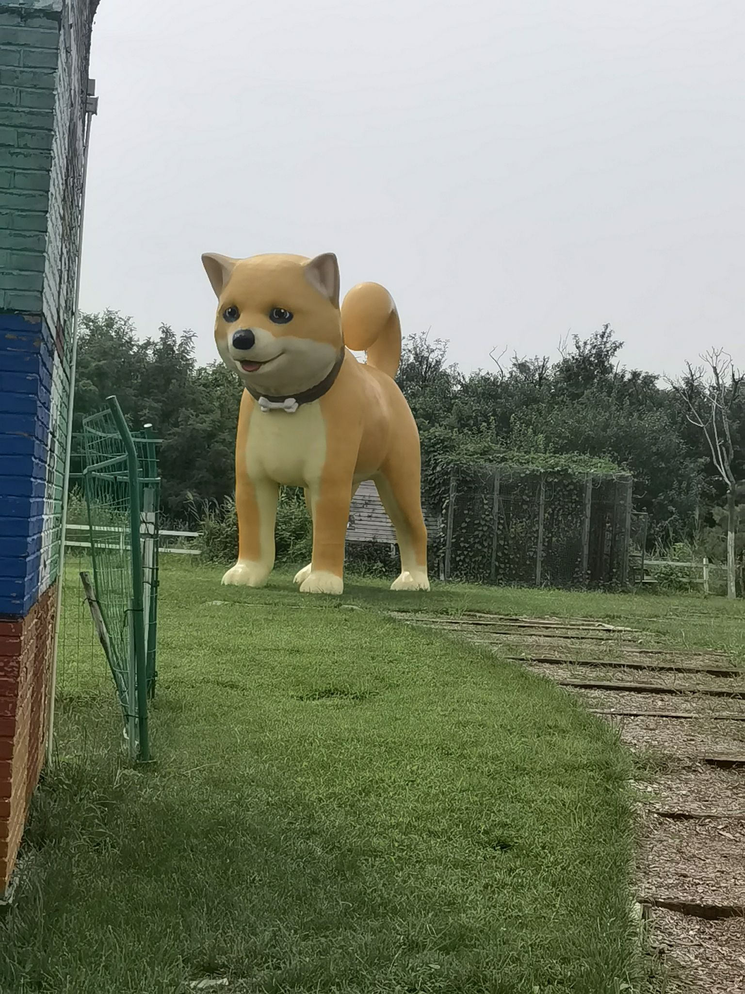 旺小柴的农场乐园
