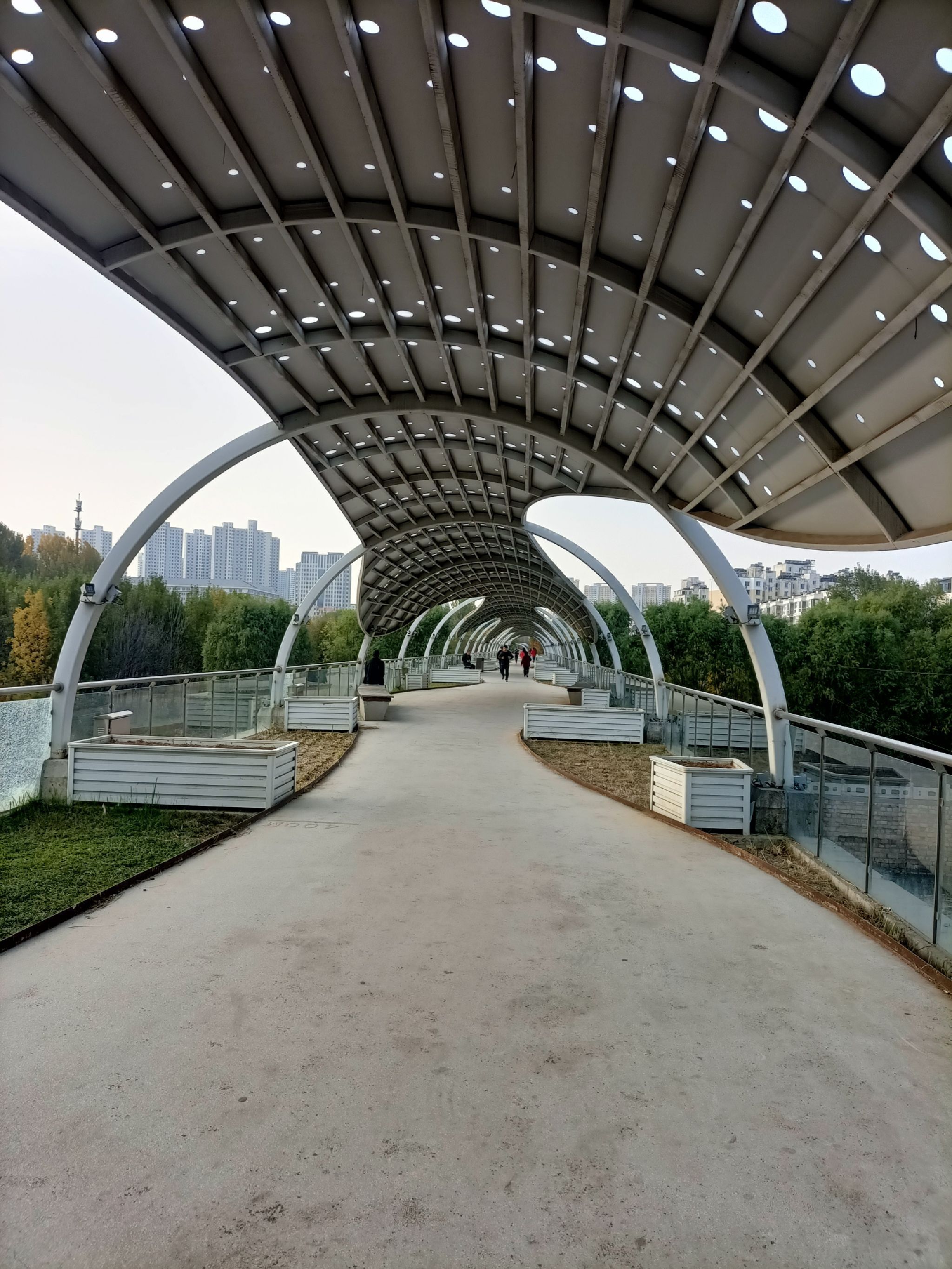 西环体育公园旅行图片