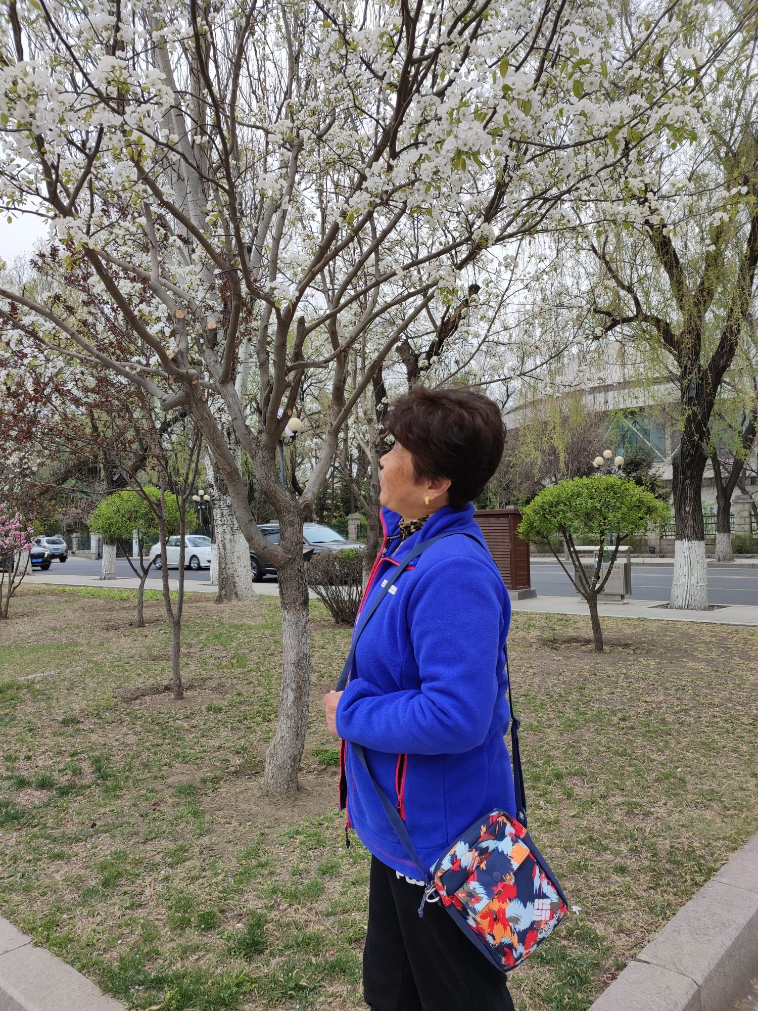 幽芳谷