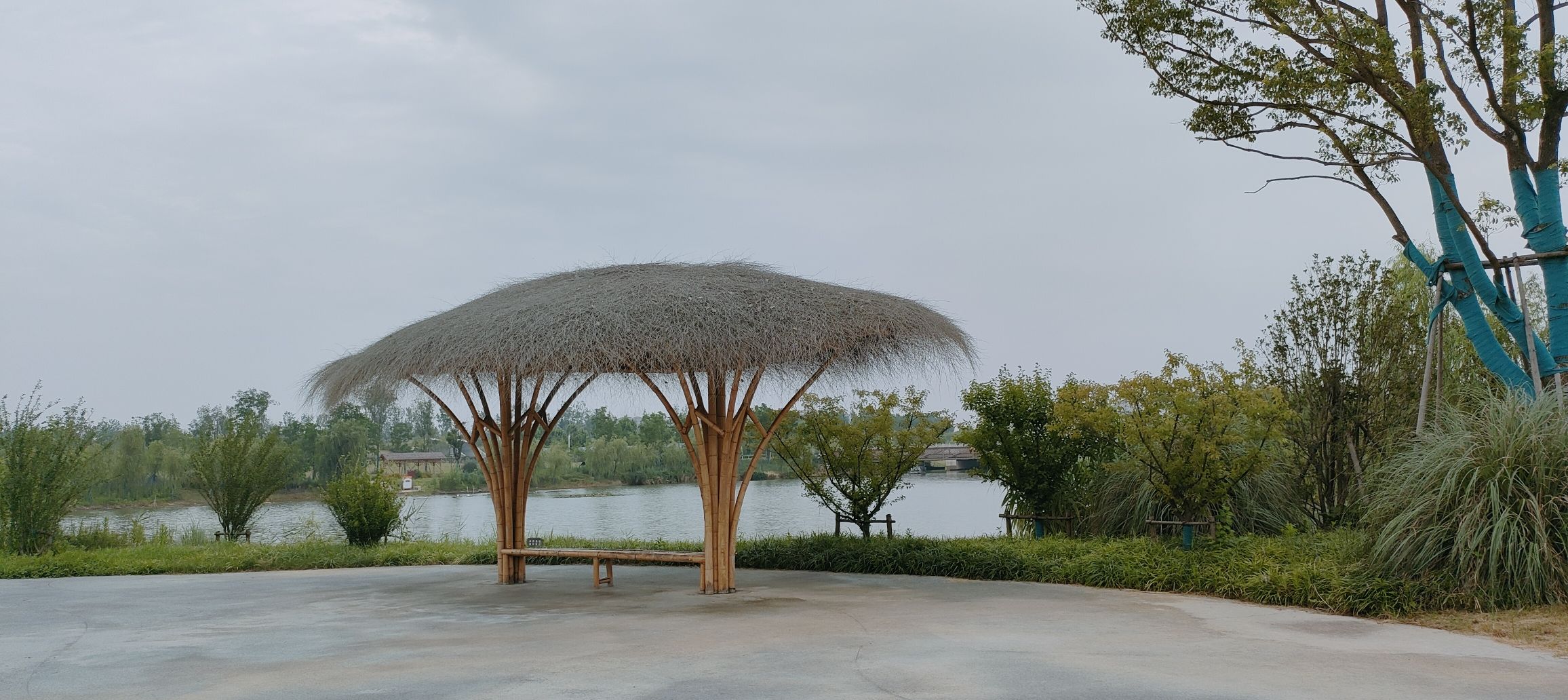 盐城湿地博物园旅行图片