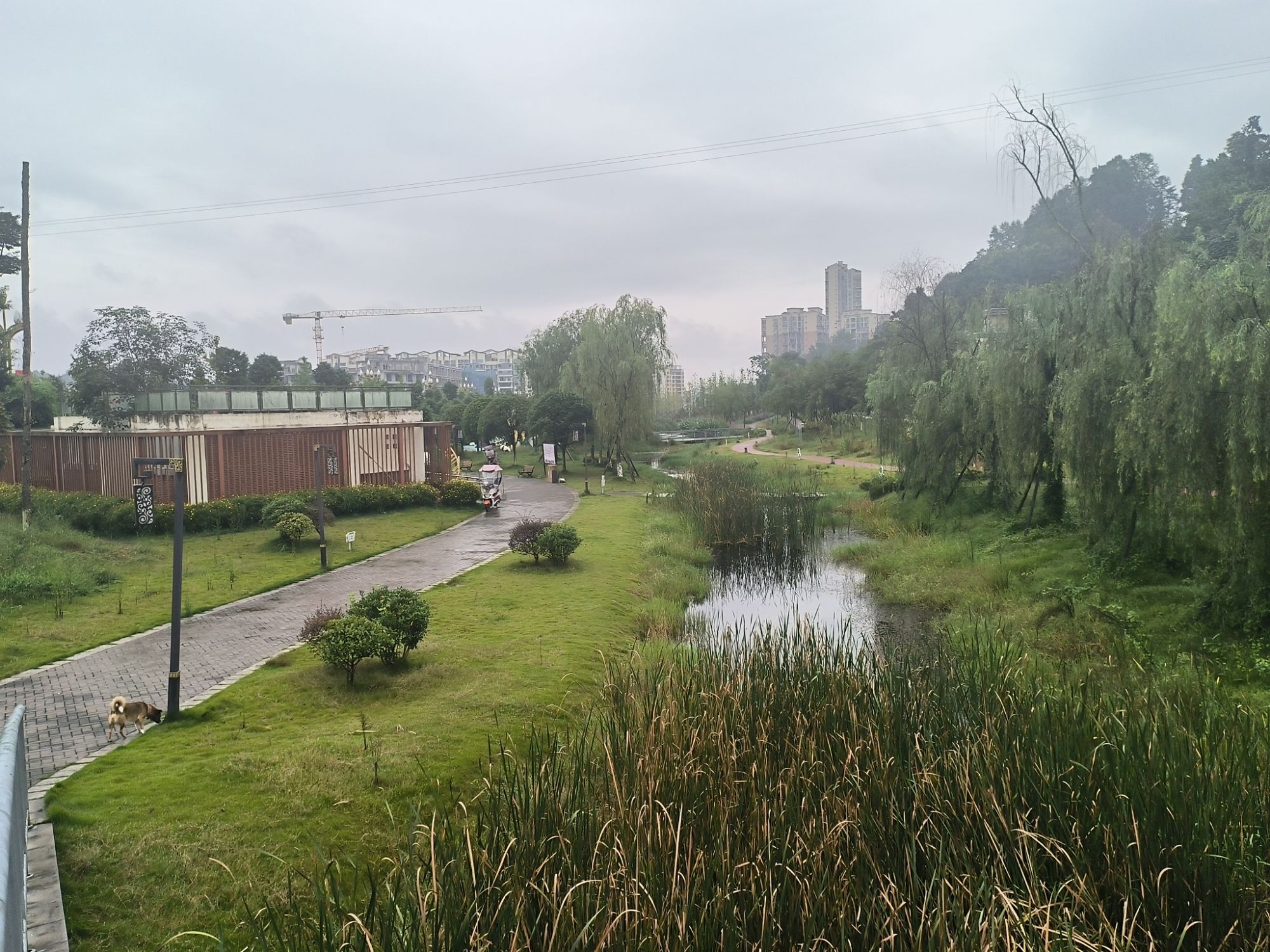 东龙山湿地公园