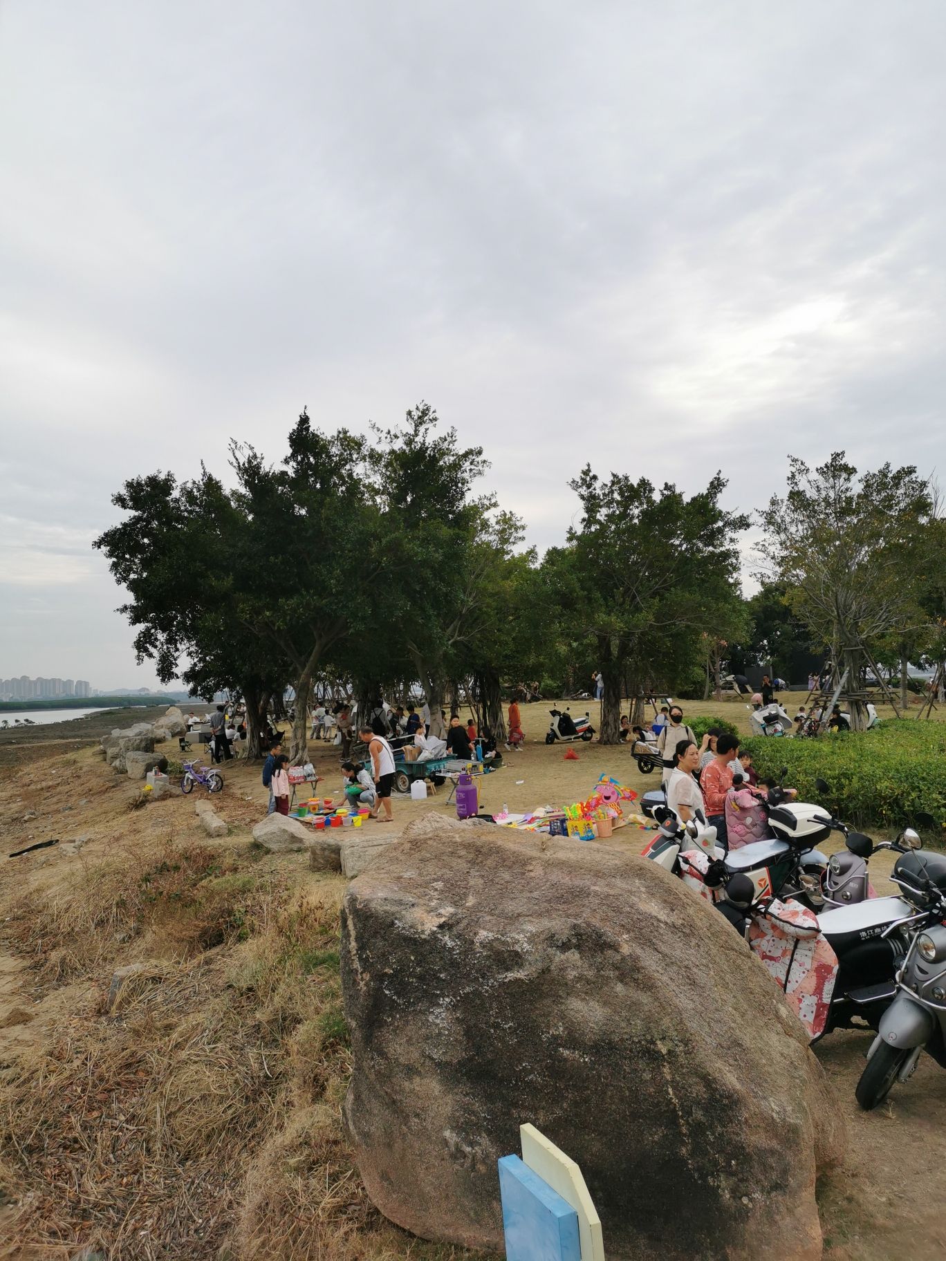 洛阳江口红树林国家级湿地公园