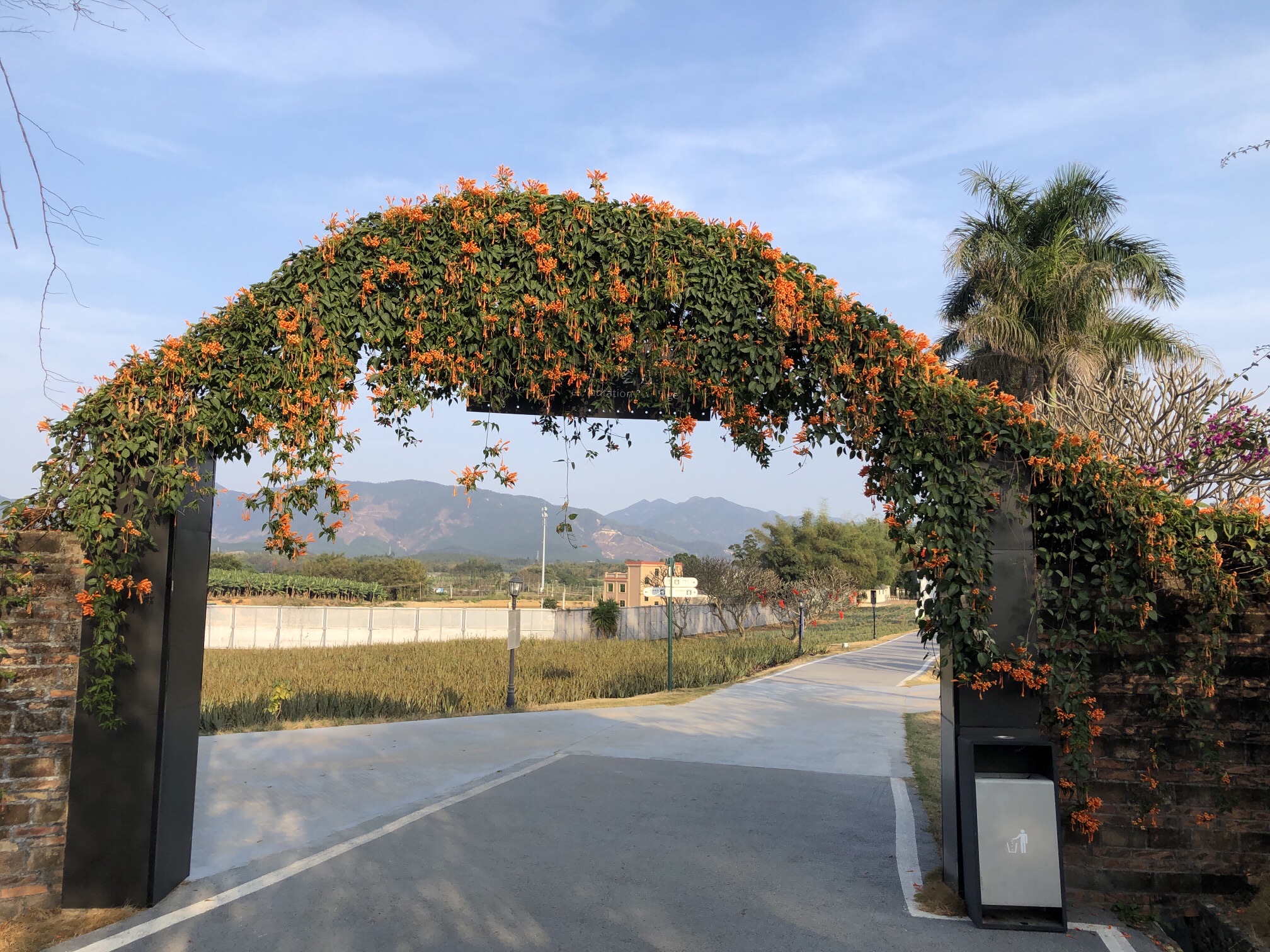 瑷露德玛芦荟庄园