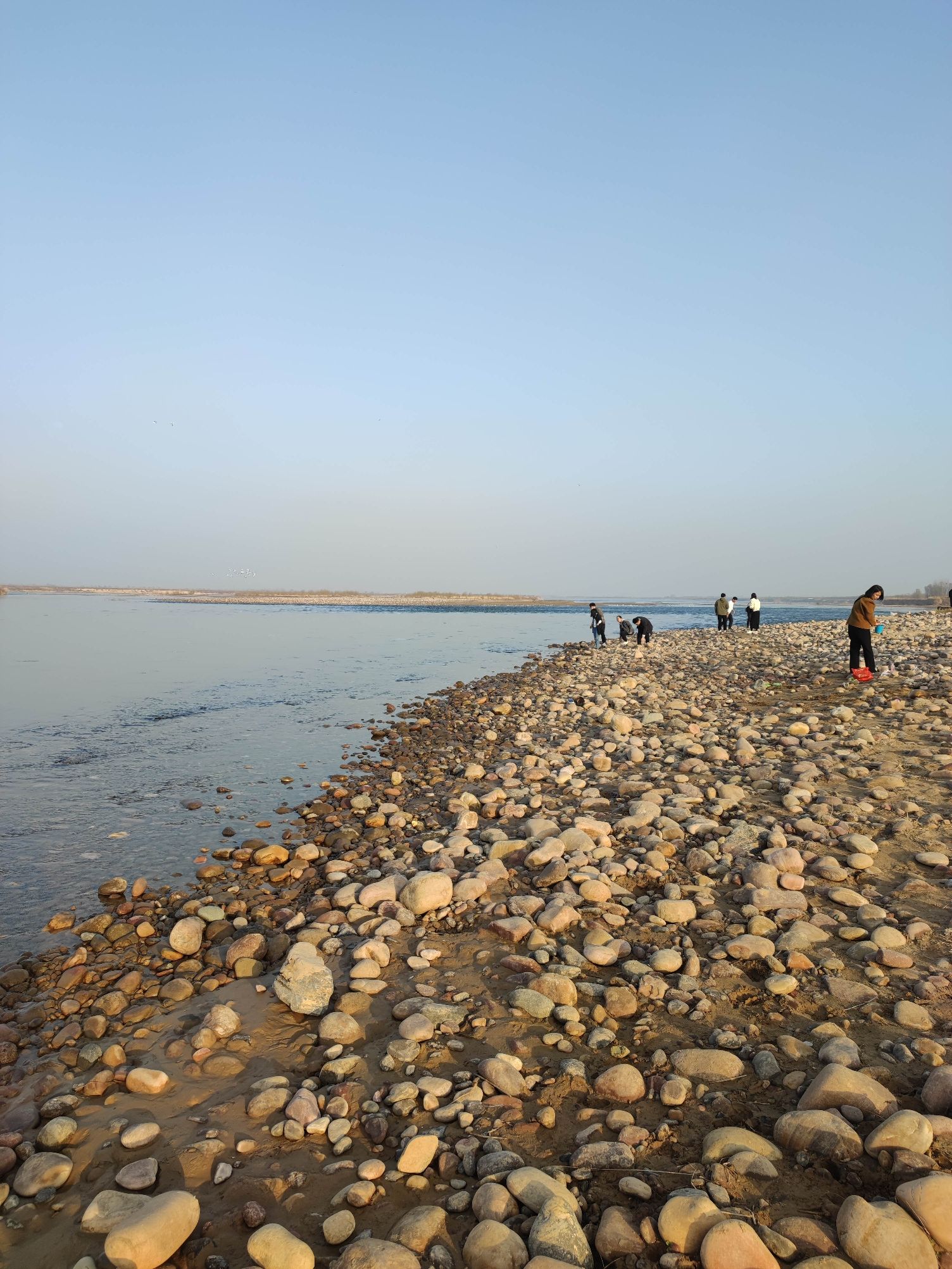 黄河湿地公园河滩