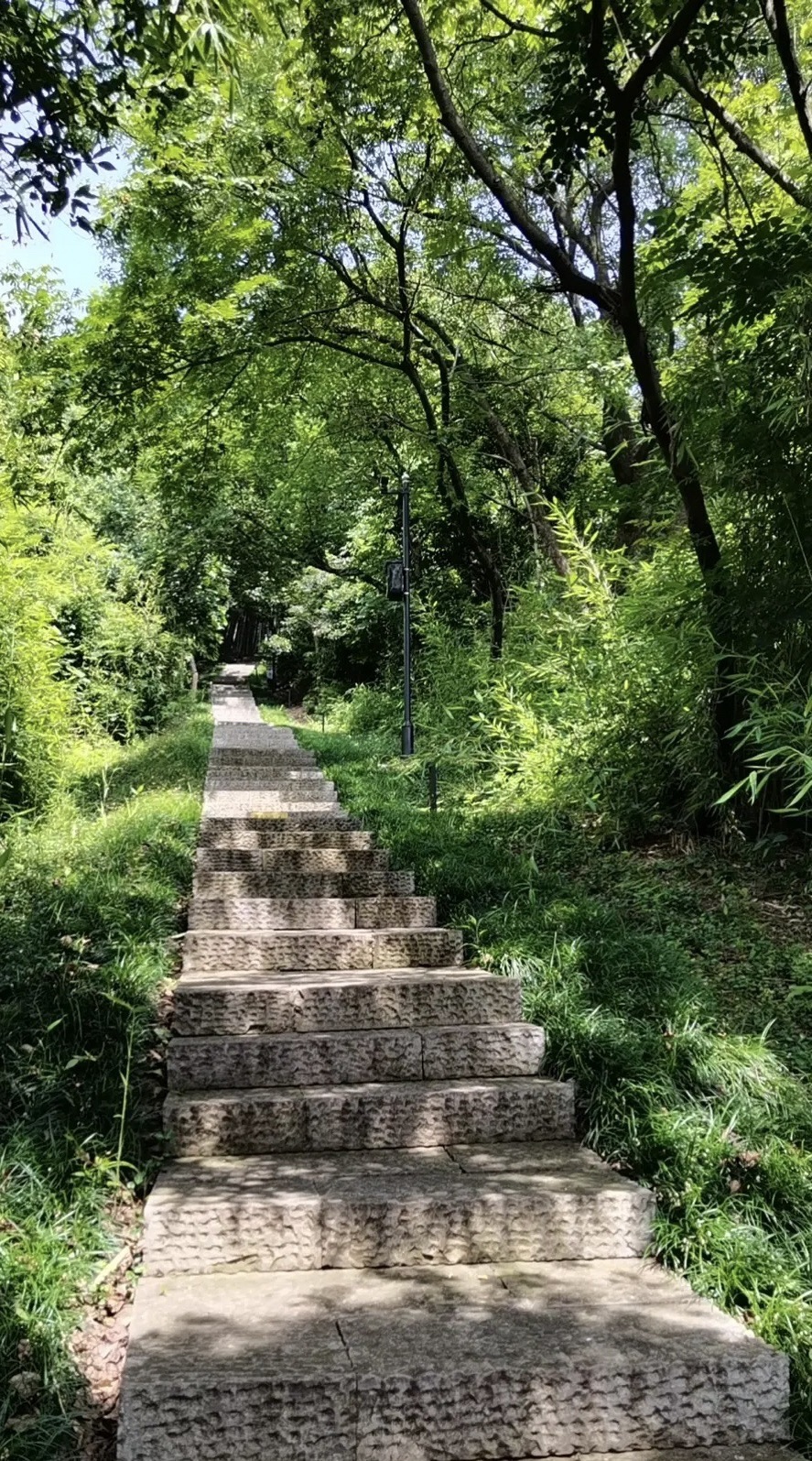 瑶山遗址公园