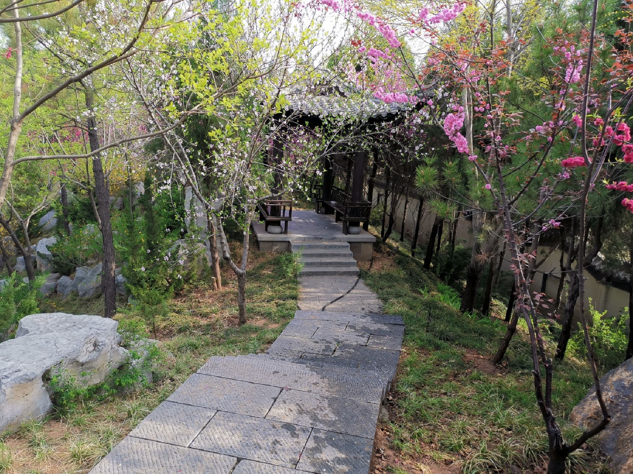 渚河源郊野公园旅行图片