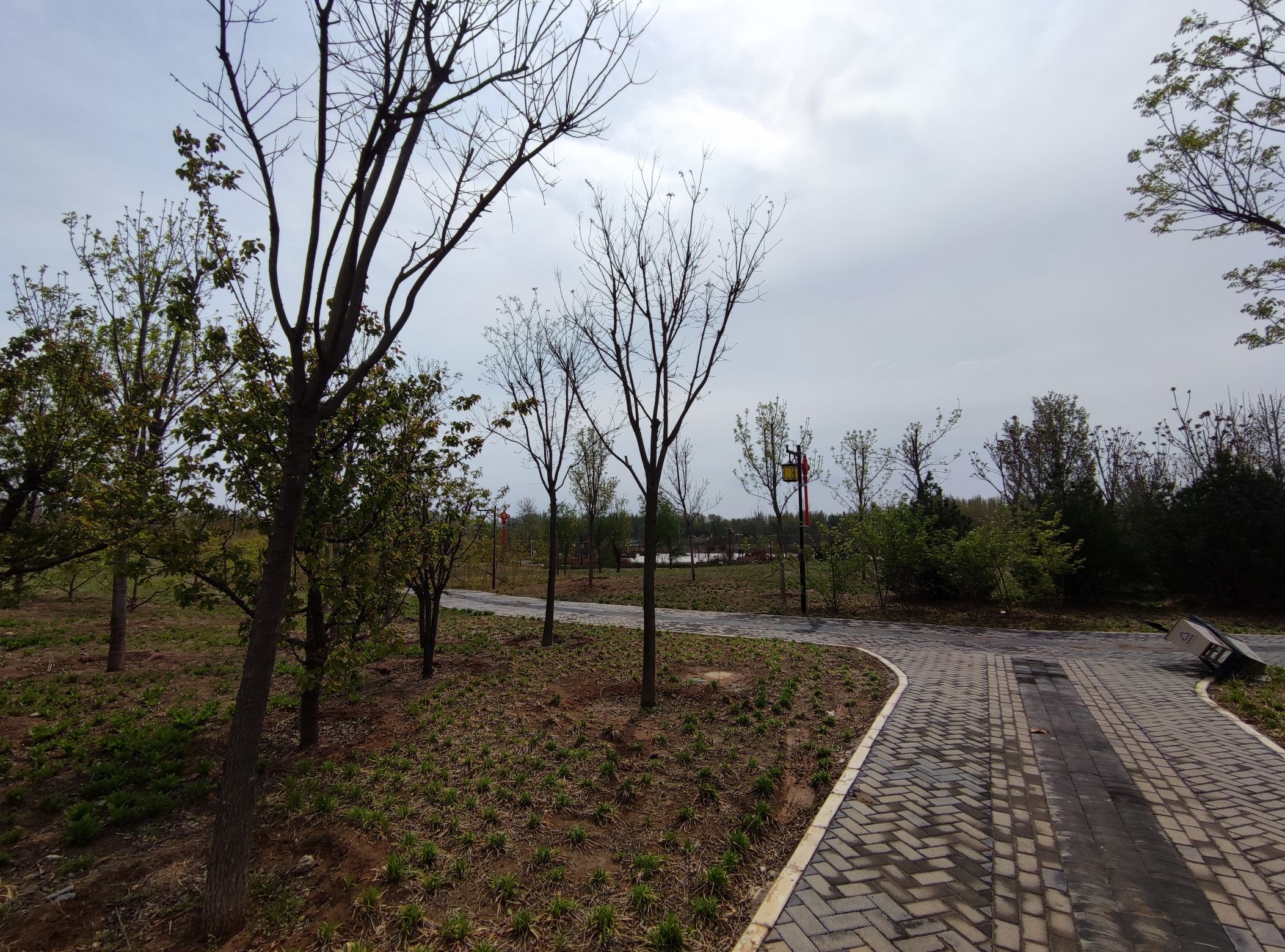 渚河源郊野公园旅行图片