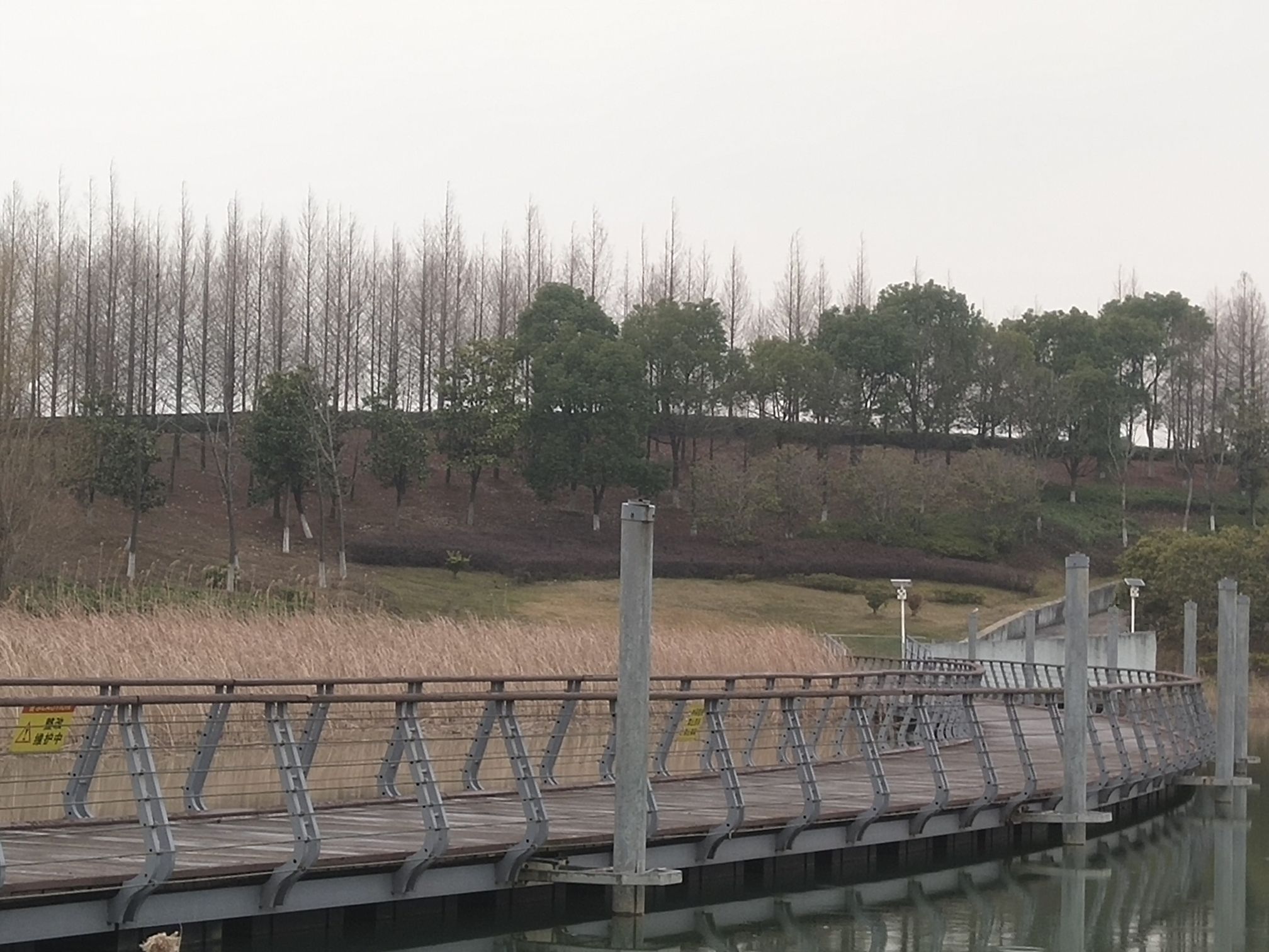 生态岛湿地公园