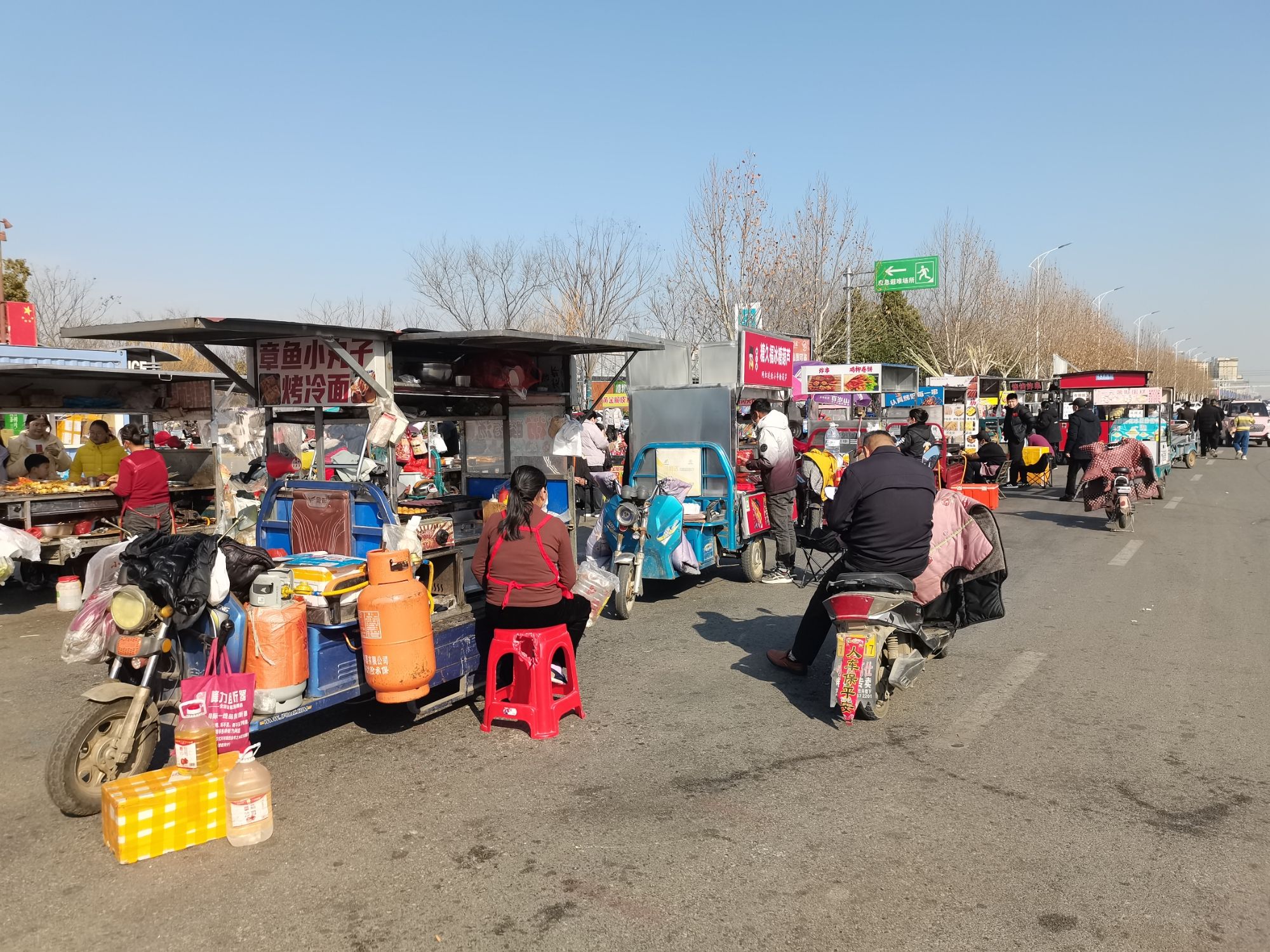 正阳县植物园旅行图片
