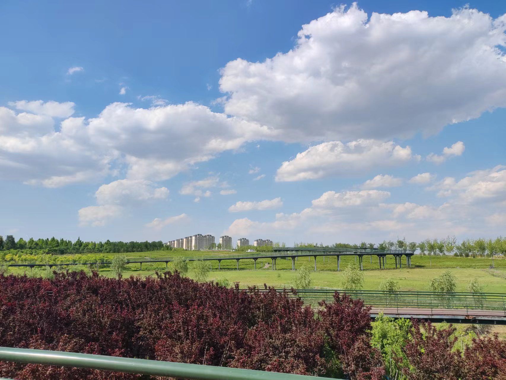 文昌湖绿苑花海旅行图片