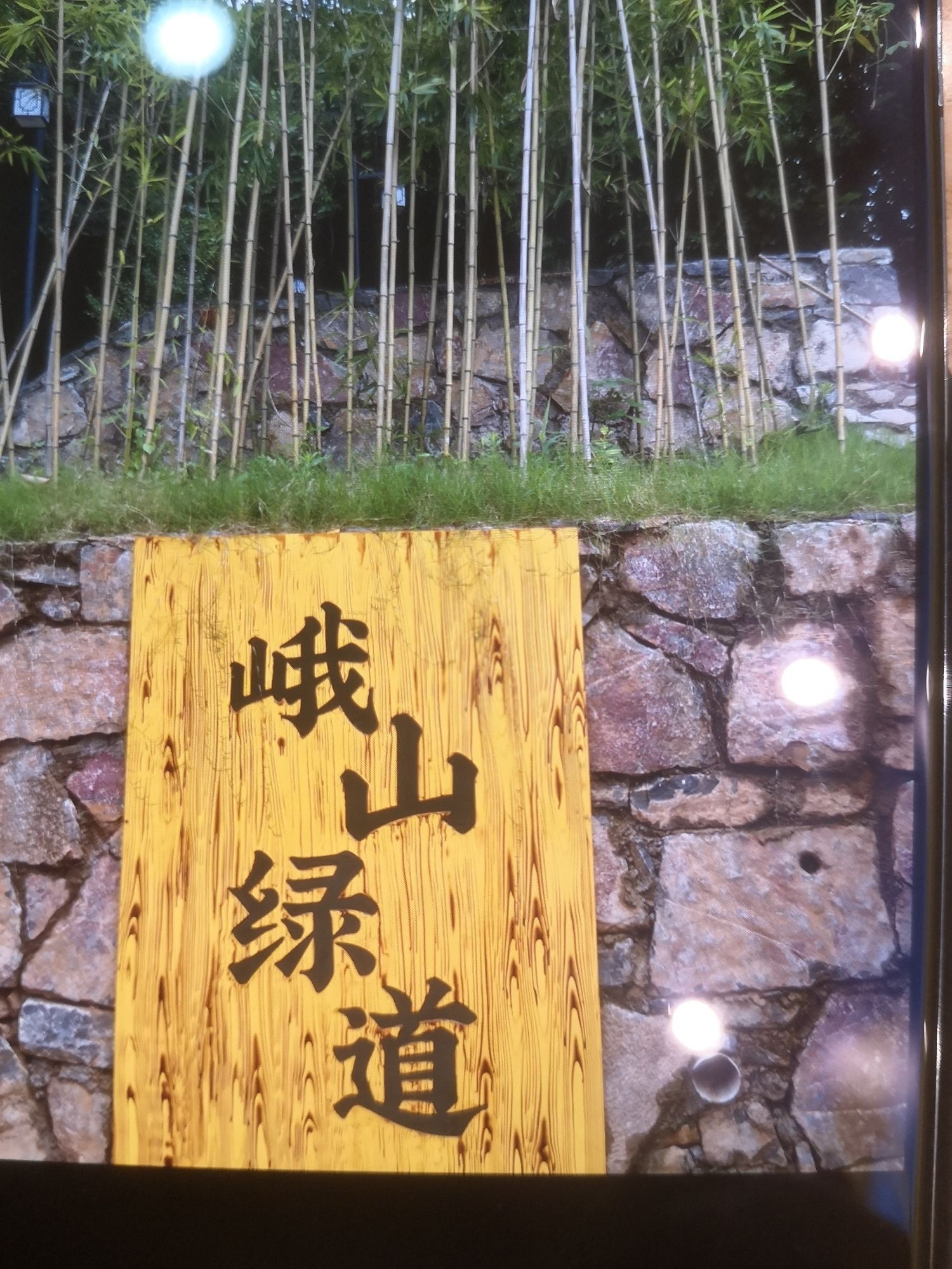 峨山公园旅行图片