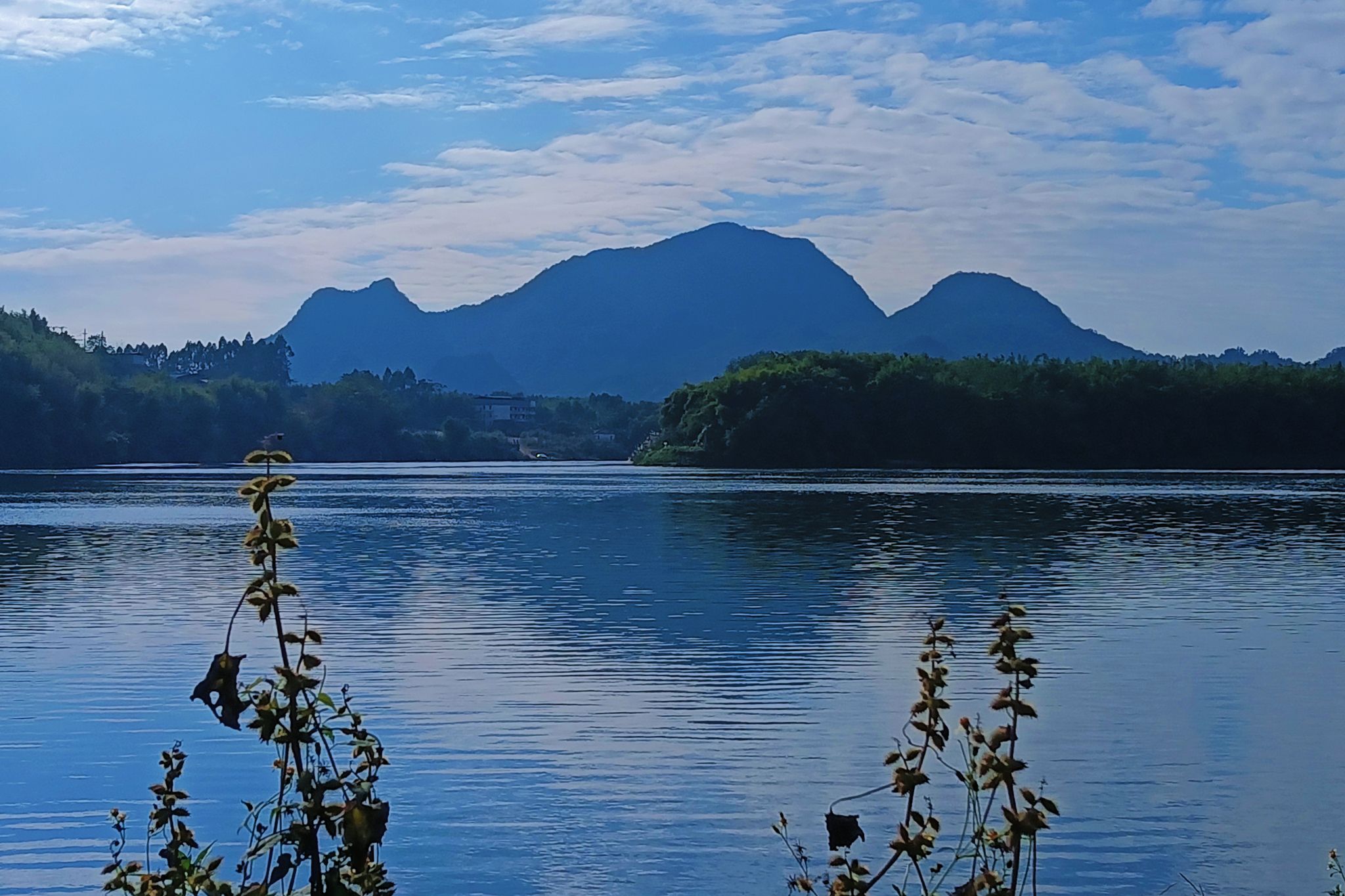 下坝码头湿地公园