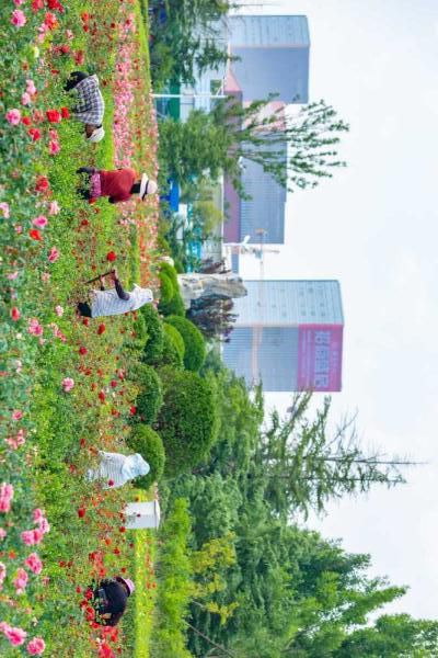 廊坊临空公园