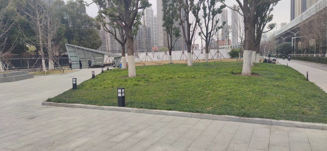 常青藤口袋公园