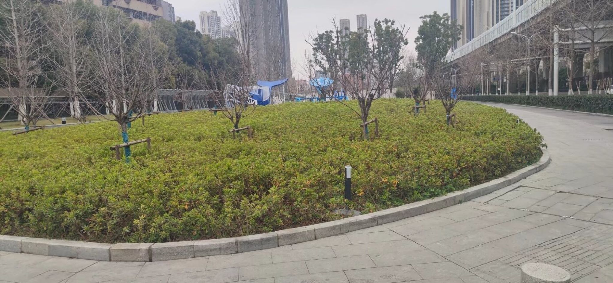 常青藤口袋公园旅行图片