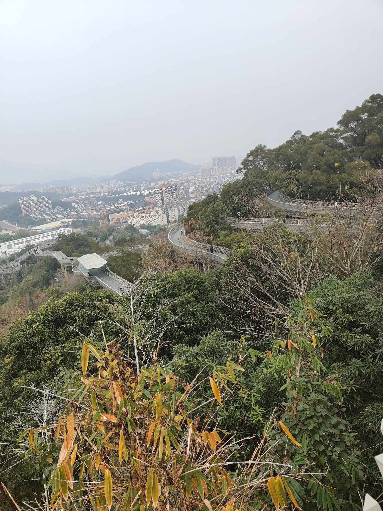 金牛山城市森林步道