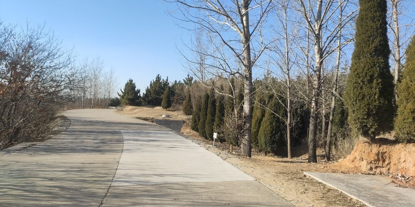崮山公园旅行图片