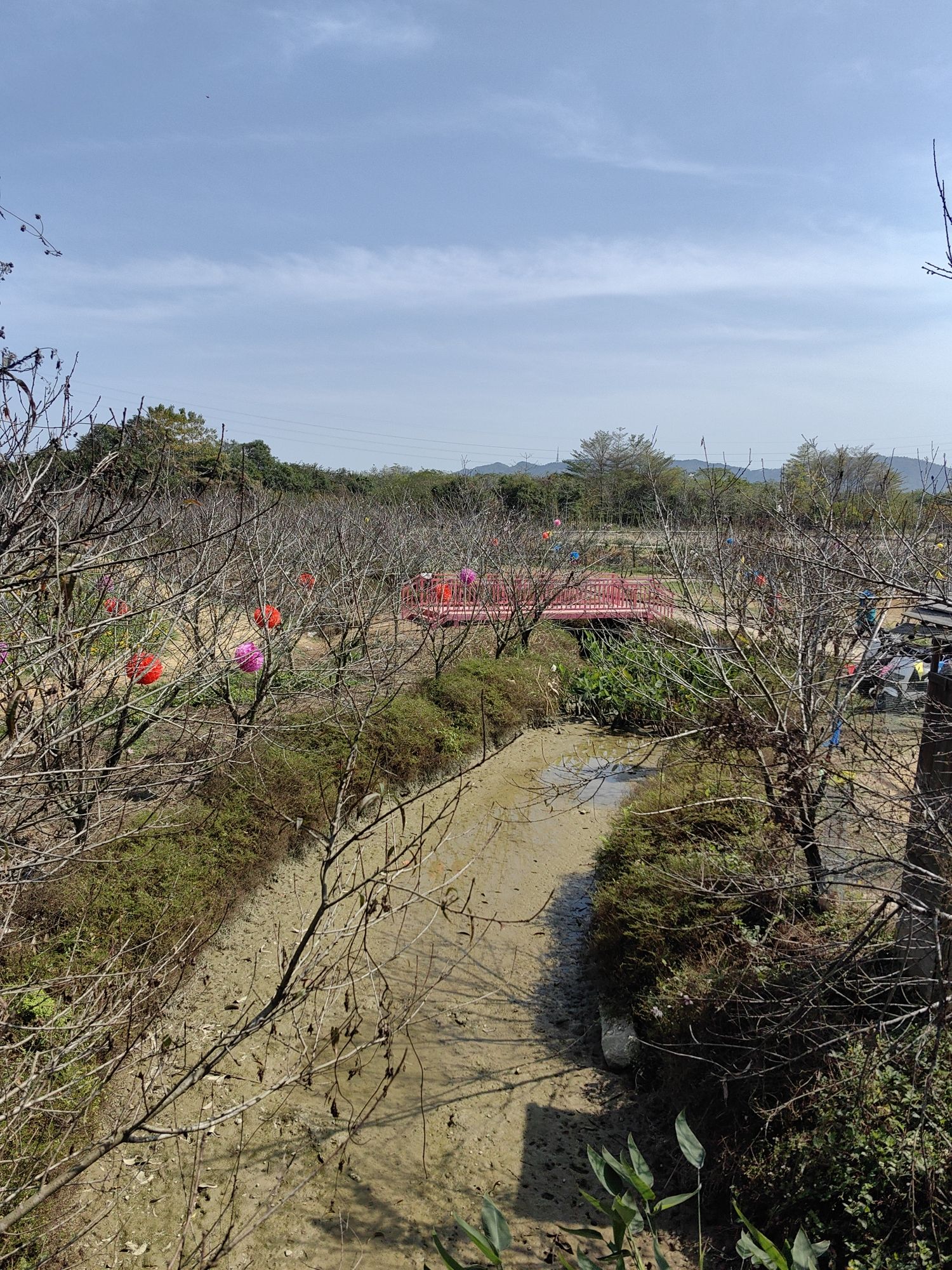 吉之旅南溪水乡·十里桃花