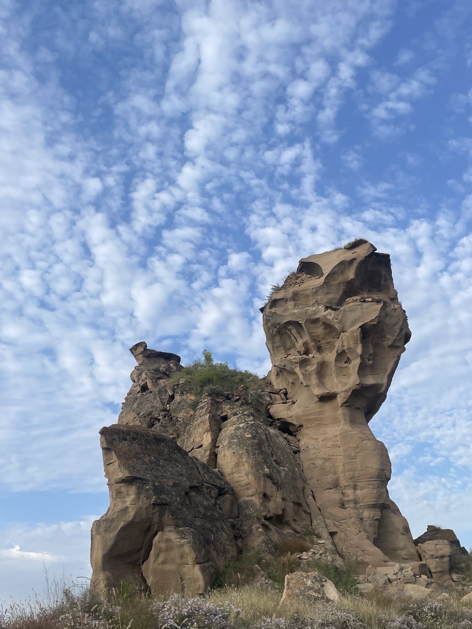黄河奇石湾景区旅行图片