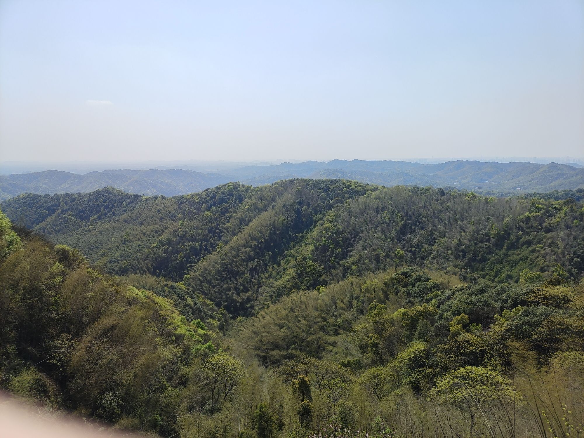 株洲婆仙岭樱花园