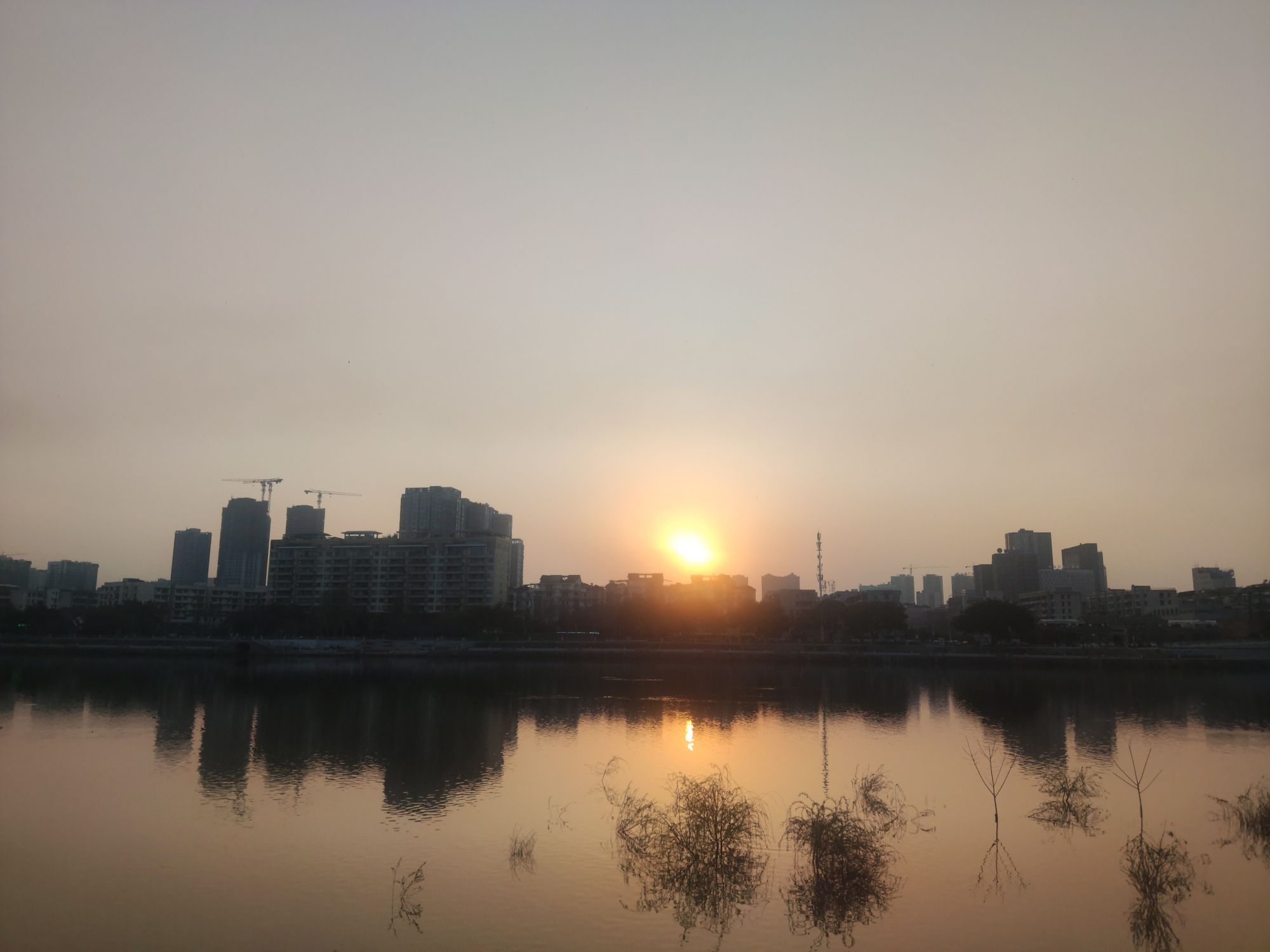 金螺湾生态公园