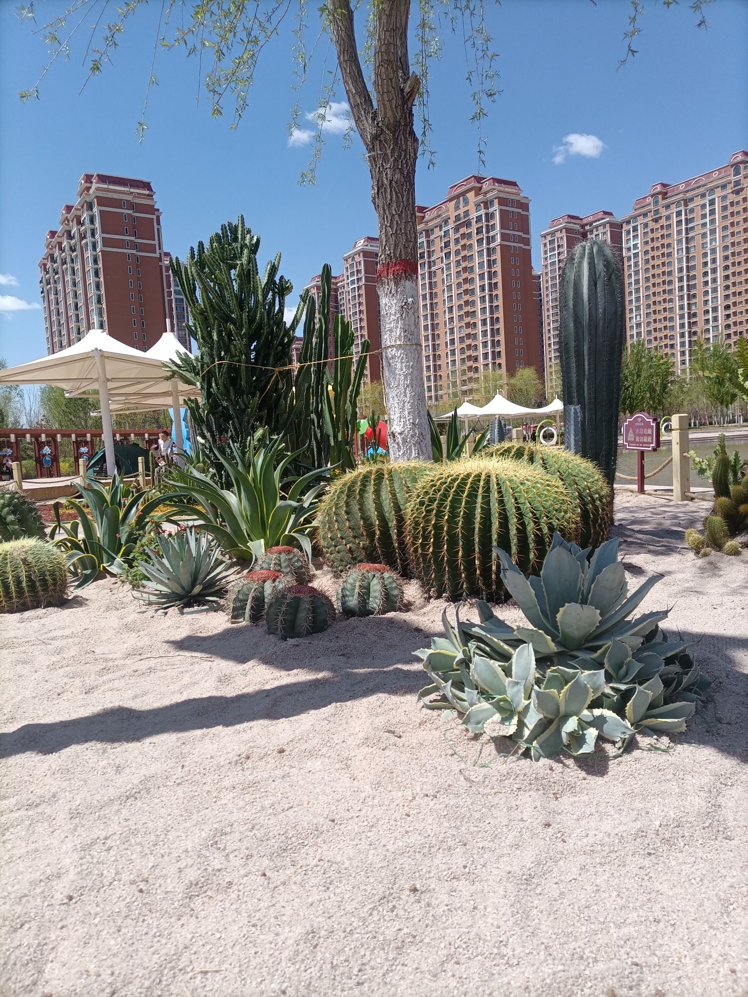 水岸新城中心公园旅行图片