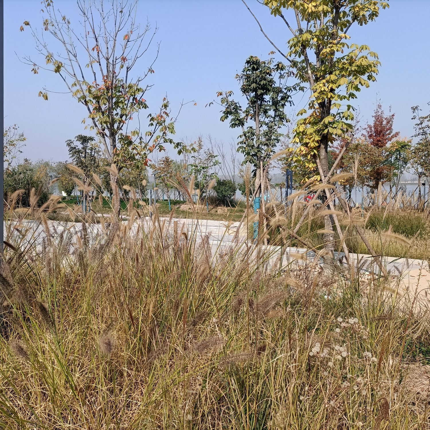 同心湖