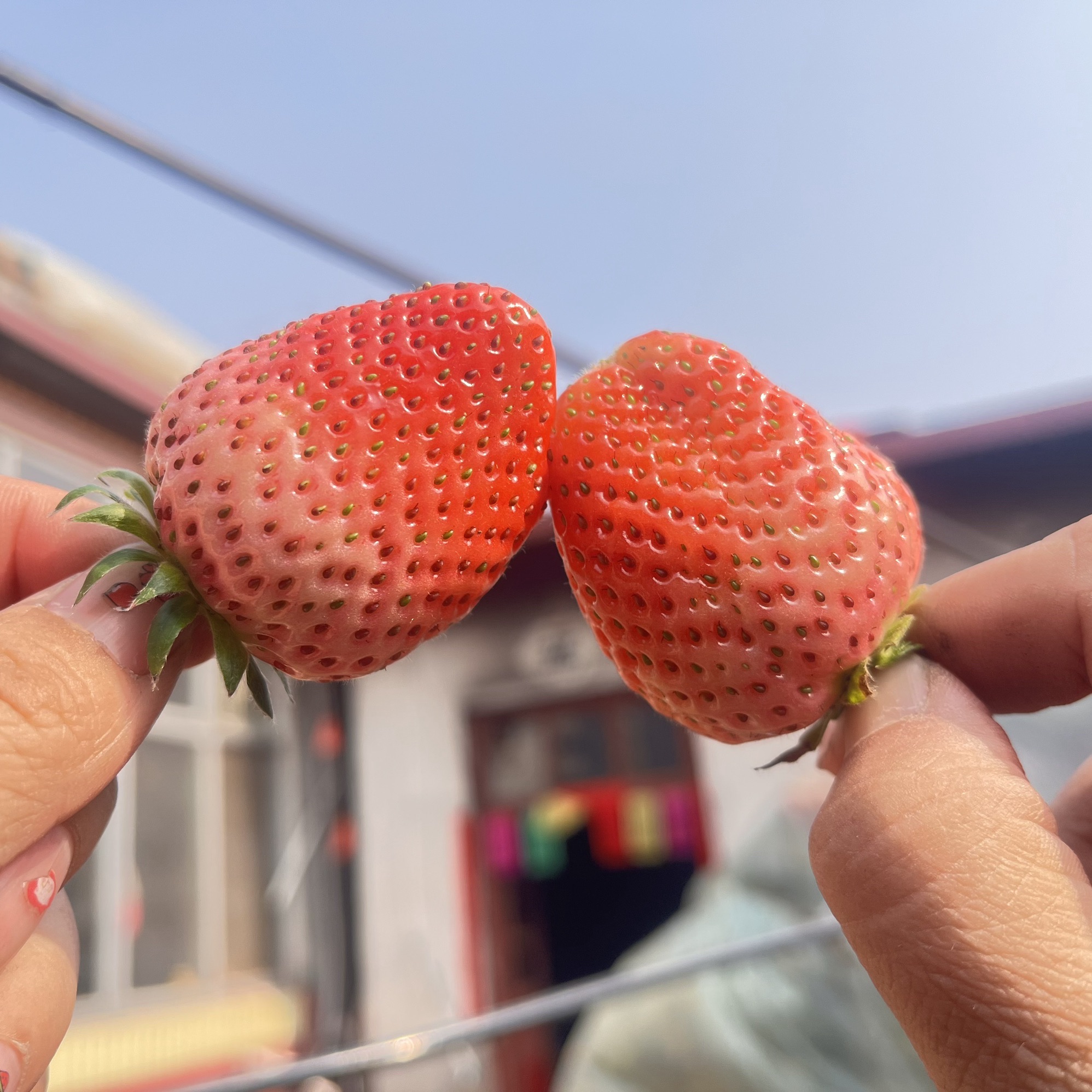 朱家坪村泉乡旅游区旅行图片