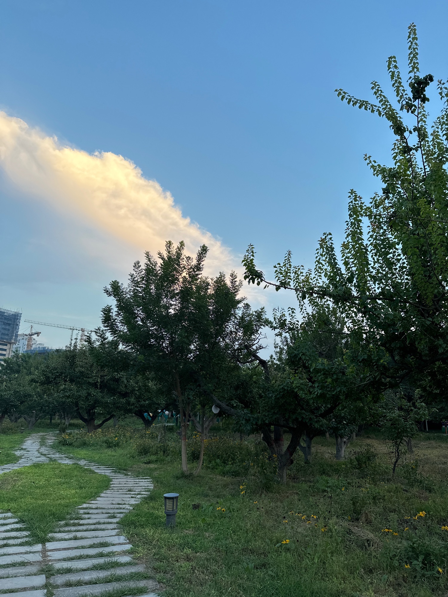 邯山区梨园公园