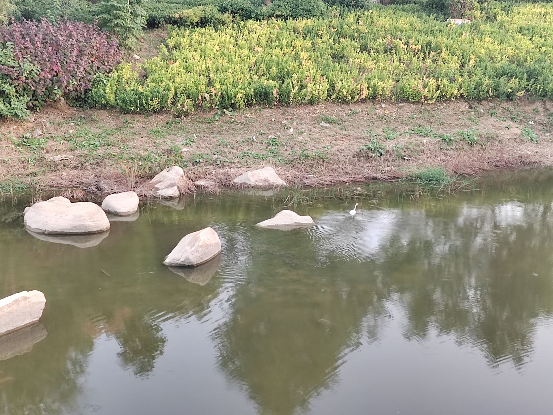 逛荡河绿地公园