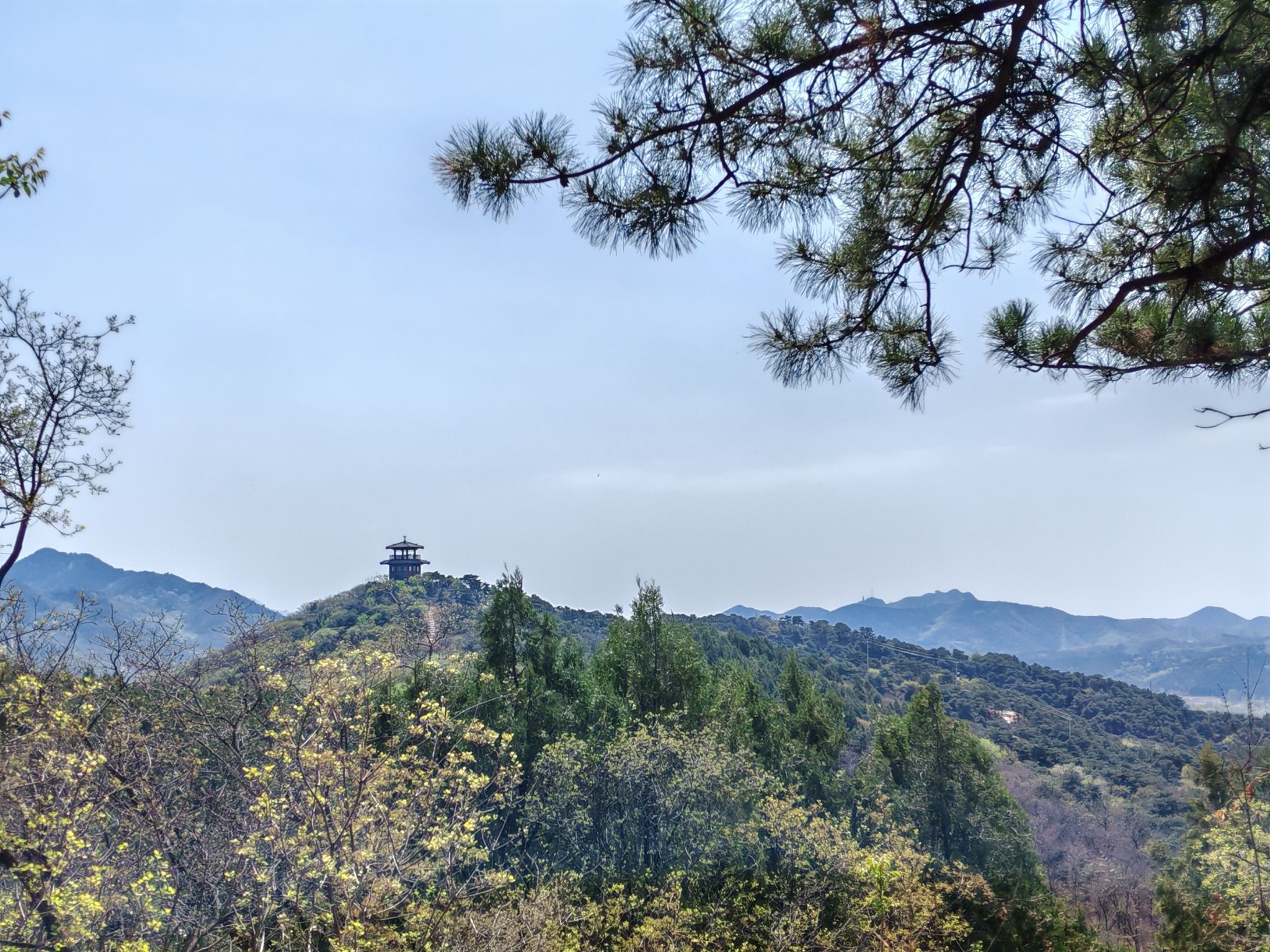 大石山森林公园
