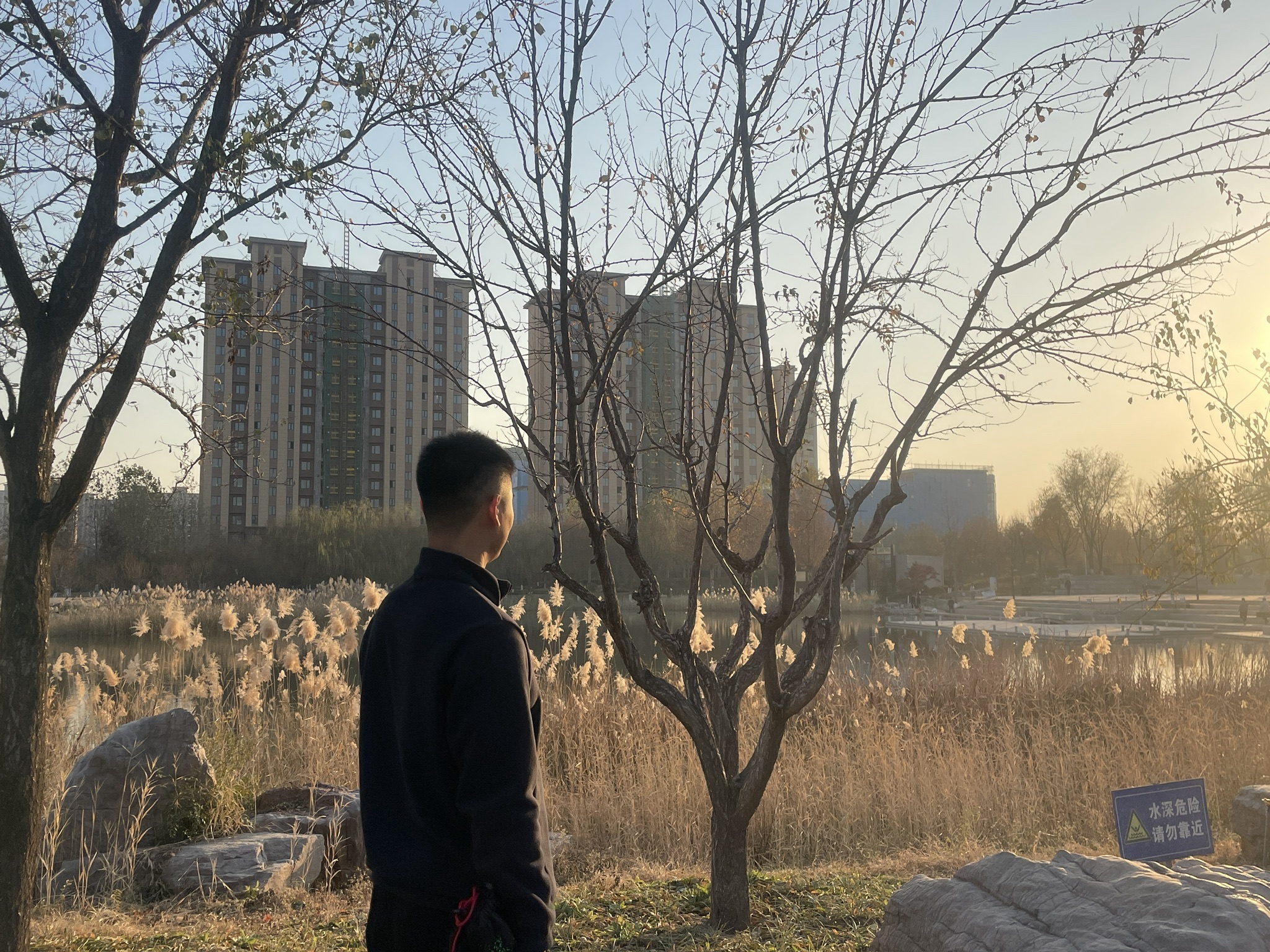 龙星公园