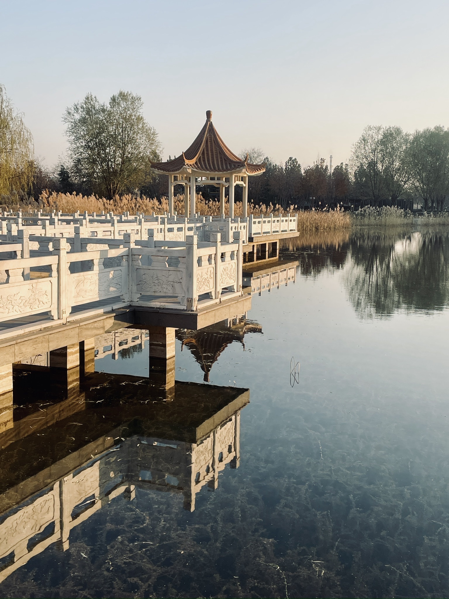 龙星公园旅行图片