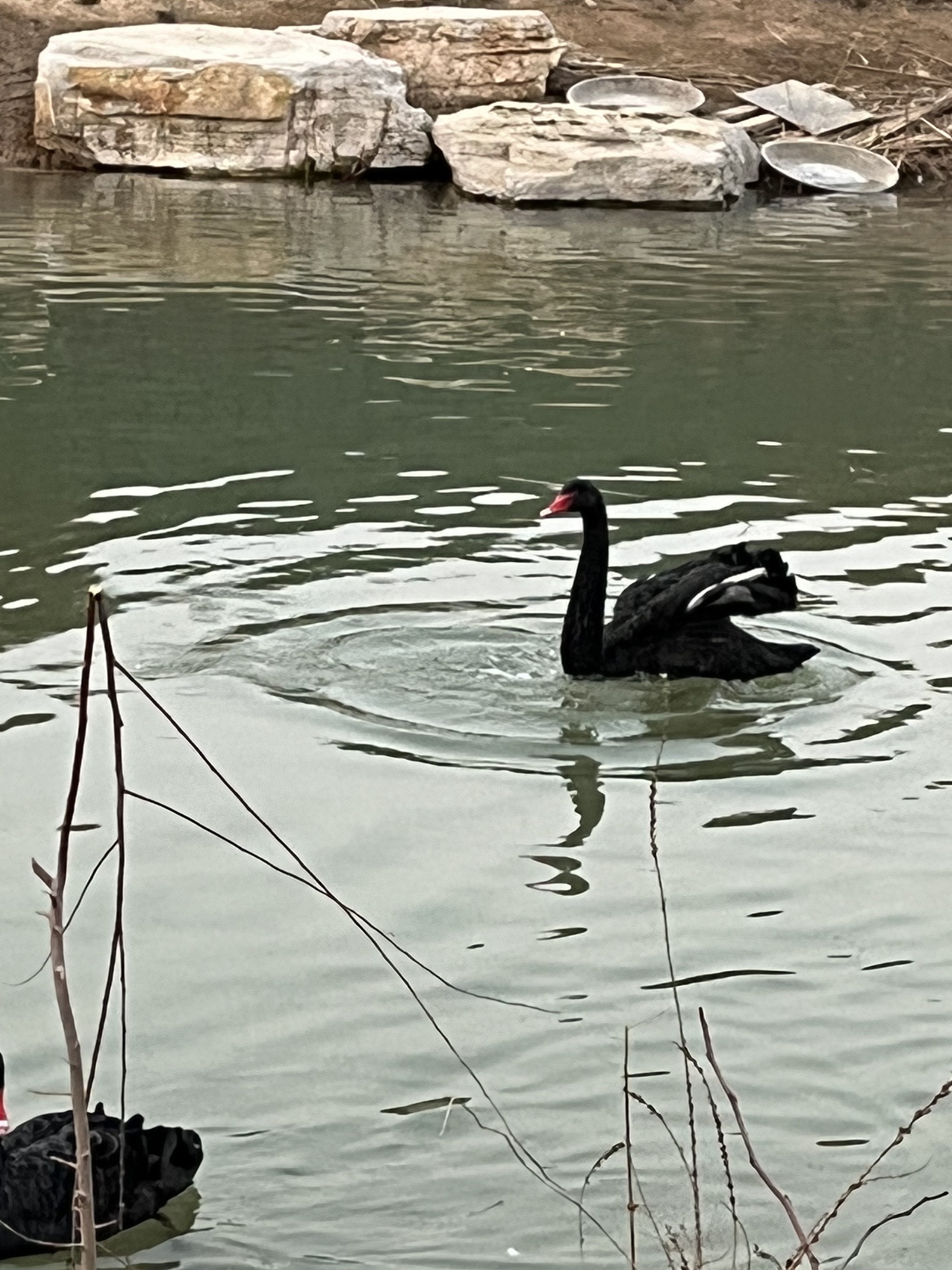 龙星公园旅行图片