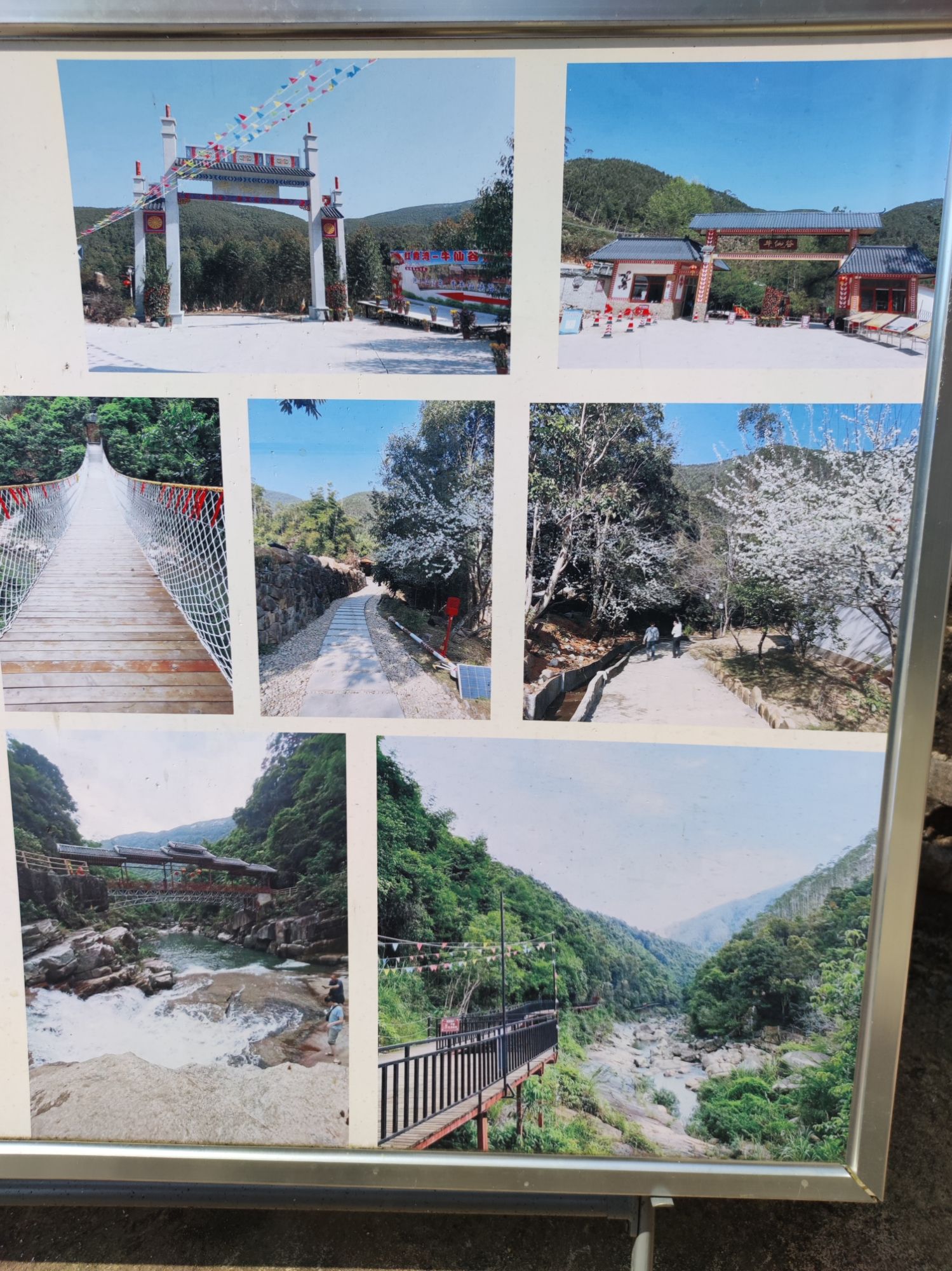 牛仙谷森林海温泉度假区旅行图片