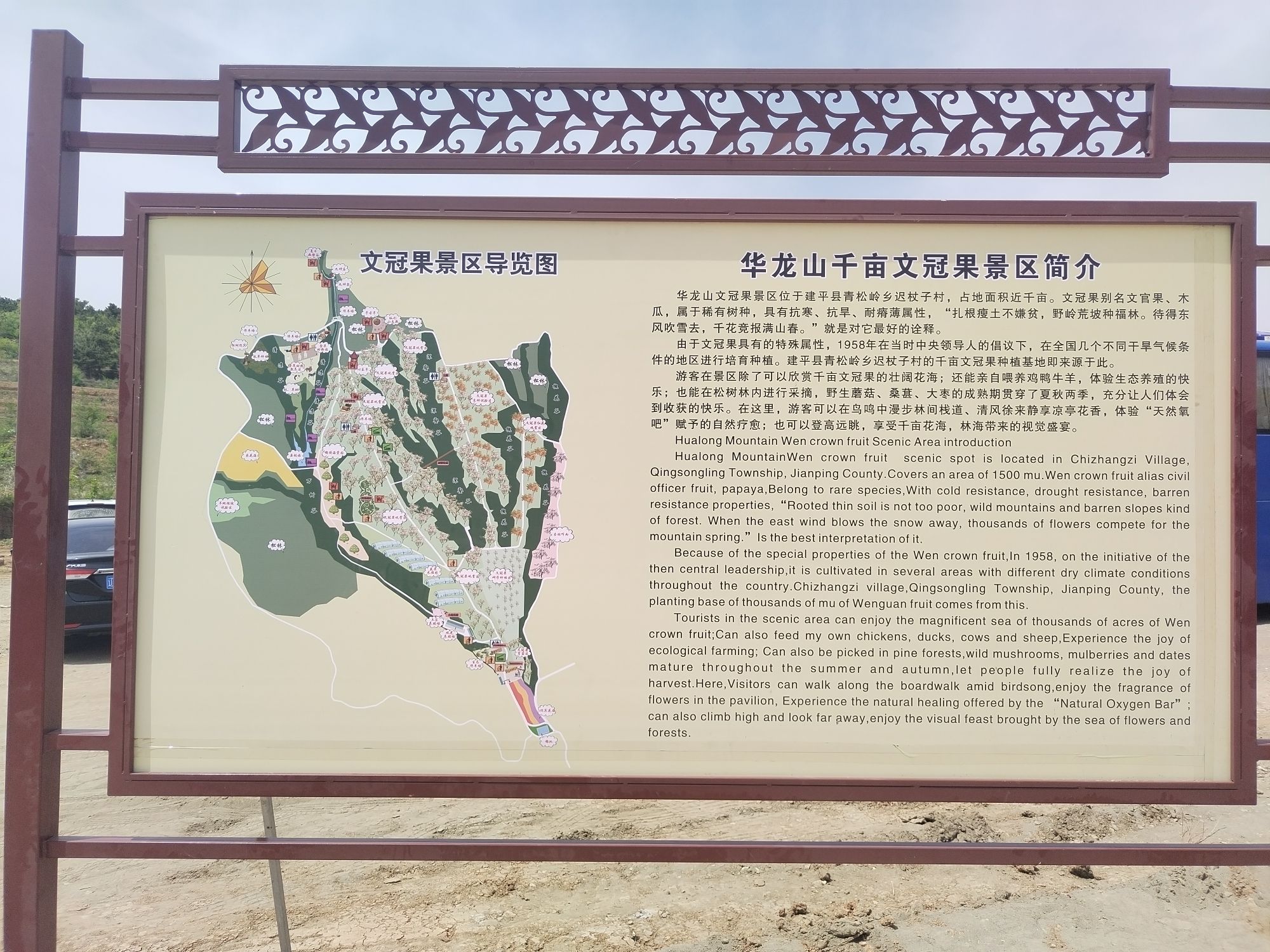 青松岭乡迟杖子村文冠果花海旅行图片